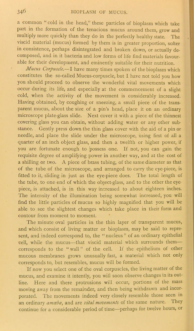 a common “ cold in the head,” these particles of bioplasm which take part in the formation of the tenacious mucus around them, grow and multiply more quickly than they do in the perfectly healthy state. The viscid material (mucus) formed by them is in greater proportion, softer in consistence, perhaps disintegrated and broken down, or actually de- composed, and in it bacteria and low forms of life find materials favour- able for their development, and eminently suitable for their nutrition. Mucus Corpuscle.—I have many times spoken of the bioplasm which constitutes the so-called Mucus-corpuscle, but I have not told you how you should proceed to observe the wonderful vital movements which occur during its life, and especially at the commencement of a slight cold, when the activity of the movement is considerably increased. Having obtained, by coughing or sneezing, a small piece of the trans- parent mucus, about the size of a pin’s head, place it on an ordinary microscope plate-glass slide. Next cover it with a piece of the thinnest covering glass you can obtain, without adding water or any other sub- stance. Gently press down the thin glass cover with the aid of a pin or needle, and place the slide under the microscope, using first of all a quarter of an inch object glass, and then a twelfth or higher power, if you are fortunate enough to possess one. If not, you can gain the requisite degree of amplifying power in another way, and at the cost of a shilling or two. A piece of brass tubing, of the same diameter as that of the tube of the microscope, and arranged to carry the eye-piece, is fitted to it, sliding in just as the eye-piece does. The total length of the tube, to one end of which the object-glass, and to the other the eye- piece, is attached, is in this way increased to about eighteen inches. The intensity of the illumination being som.ewhat increased, you will find the little particles of mucus so highly magnified that you will be able to see the slightest changes which take place in their form and contour from moment to moment. * The minute oval particles in the thin layer of transparent mucus, and which consist of living matter or bioplasm, may be said to repre- sent, and indeed correspond to, the “ nucleus  of an ordinary epithelial cell, while the mucus—that viscid material which surrounds them— corresponds to the “ wall ” of the cell. If the epithelium of other mucous membranes grows unusually fast, a material which not only corresponds to, but resembles, mucus will be formed. If now you select one of the oval corpuscles, the living matter of the mucus, and examine it intently, you will soon observe changes m its out- line. Here and there protrusions will occur, portions of the mass moving away from the remainder, and then being withdrawn and incor- porated. The movements indeed very closely resemble those seen in an ordinary amoeba, and are vital 7novements of the same nature. They continue for a considerable period of time—perhaps for twelve hours, or