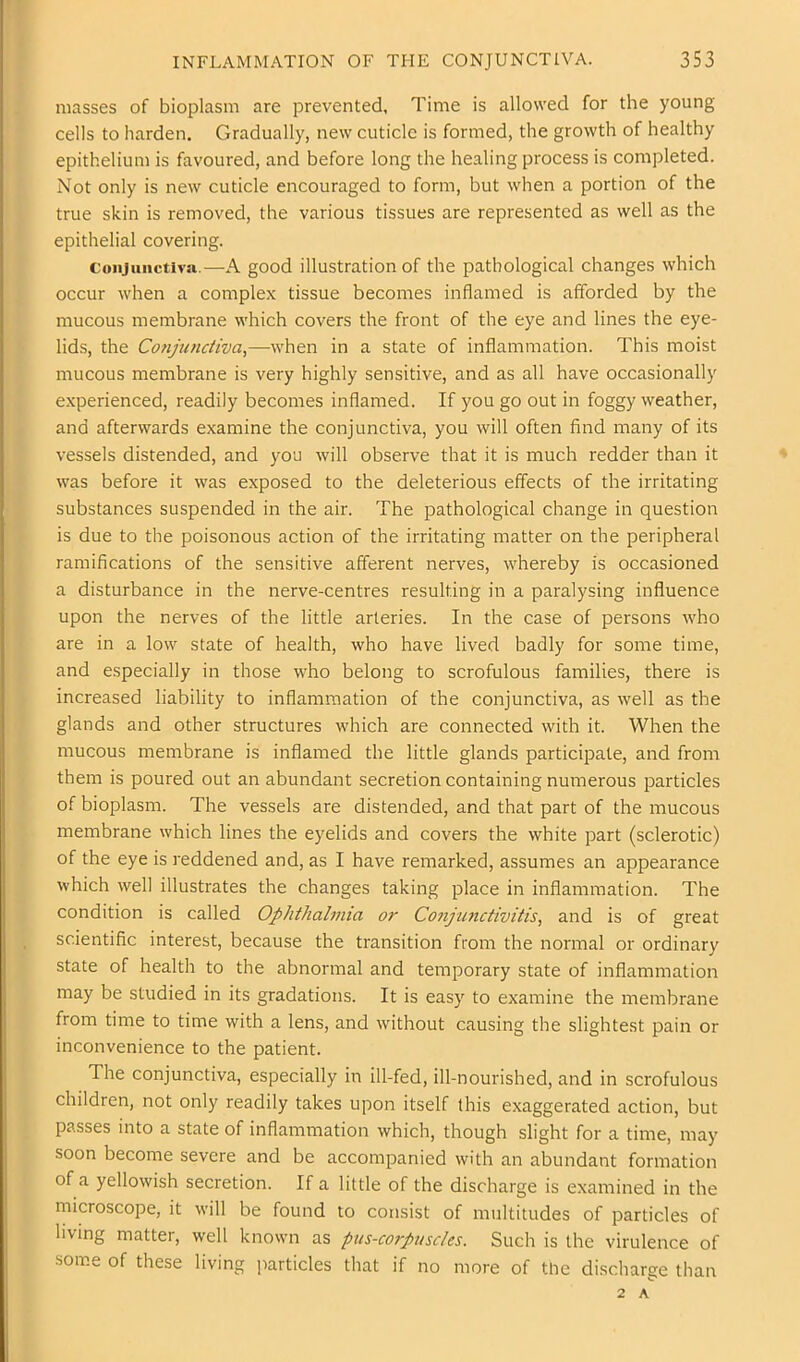 T INFLAMMATION OF THE CONJUNCTIVA. 353 masses of bioplasm are prevented, Time is allowed for the young cells to harden. Gradually, new cuticle is formed, the growth of healthy epithelium is favoured, and before long the healing process is completed. Not only is new cuticle encouraged to form, but when a portion of the true skin is removed, the various tissues are represented as well as the epithelial covering. Conjunctiva.—A good illustration of the pathological changes which occur when a complex tissue becomes inflamed is afforded by the mucous membrane which covers the front of the eye and lines the eye- lids, the Cofijunctiva,—when in a state of inflammation. This moist mucous membrane is very highly sensitive, and as all have occasionally experienced, readily becomes inflamed. If you go out in foggy weather, and afterwards examine the conjunctiva, you will often find many of its vessels distended, and you will observe that it is much redder than it was before it was exposed to the deleterious effects of the irritating substances suspended in the air. The pathological change in question is due to the poisonous action of the irritating matter on the peripheral ramifications of the sensitive afferent nerves, whereby is occasioned a disturbance in the nerve-centres resulting in a paralysing influence upon the nerves of the little arteries. In the case of persons who are in a low state of health, who have lived badly for some time, and especially in those who belong to scrofulous families, there is increased liability to inflammation of the conjunctiva, as well as the glands and other structures which are connected with it. When the mucous membrane is inflamed the little glands participate, and from them is poured out an abundant secretion containing numerous particles of bioplasm. The vessels are distended, and that part of the mucous membrane which lines the eyelids and covers the white part (sclerotic) of the eye is reddened and, as I have remarked, assumes an appearance which well illustrates the changes taking place in inflammation. The condition is called Ophthalmia or Conjunctivitis^ and is of great scientific interest, because the transition from the normal or ordinary state of health to the abnormal and temporary state of inflammation may be studied in its gradations. It is easy to examine the membrane from time to time with a lens, and without causing the slightest pain or inconvenience to the patient. The conjunctiva, especially in ill-fed, ill-nourished, and in scrofulous children, not only readily takes upon itself this exaggerated action, but passes into a state of inflammation which, though slight for a time, may soon become severe and be accompanied with an abundant formation of a yellowish secretion. If a little of the discharge is examined in the microscope, it will be found to consist of multitudes of particles of living matter, well known as pus-corpuscles. Such is the virulence of some of these living jiarticles that if no more of the discharge than