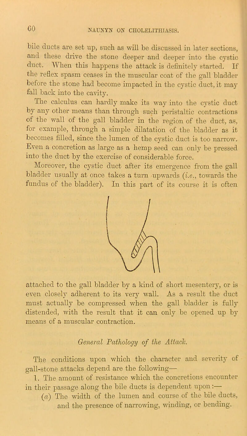 CO bile ducts are set up, such as will be discussed in later sections, and these drive the stone deeper and deeper into the cystic duct. When this happens the attack is definitely started. If the reflex spasm ceases in the muscular coat of the gall bladder before the stone had become impacted in the cystic duct, it may fall back into the cavity. The calculus can hardly make its way into the cystic duct by any other means than through such peristaltic contractions of the wall of the gall bladder in the region of the duct, as, for example, through a simple dilatation of the bladder as it becomes filled, since the lumen of the cystic duct is too narrow. Even a concretion as large as a hemp seed can only be pressed into the duct by the exercise of considerable force. Moreover, the cystic duct after its emergence from the gall bladder usually at once takes a turn upwards (i.e., towards the fundus of the bladder). In this part of its course it is often attached to the gall bladder by a kind of short mesentery, or is even closely adherent to its very wall. As a result the duct must actually be compressed when the gall bladder is fully distended, with the result that it can only be opened up by means of a muscular contraction. General Pathology of the Attach. The conditions upon which the character and severity of gall-stone attacks depend are the following— 1. The amount of resistance which the concretions encounter in their passage along the bile ducts is dependent upon:— (a) The width of the lumen and course of the bile ducts, and the presence of narrowing, winding, or bending.