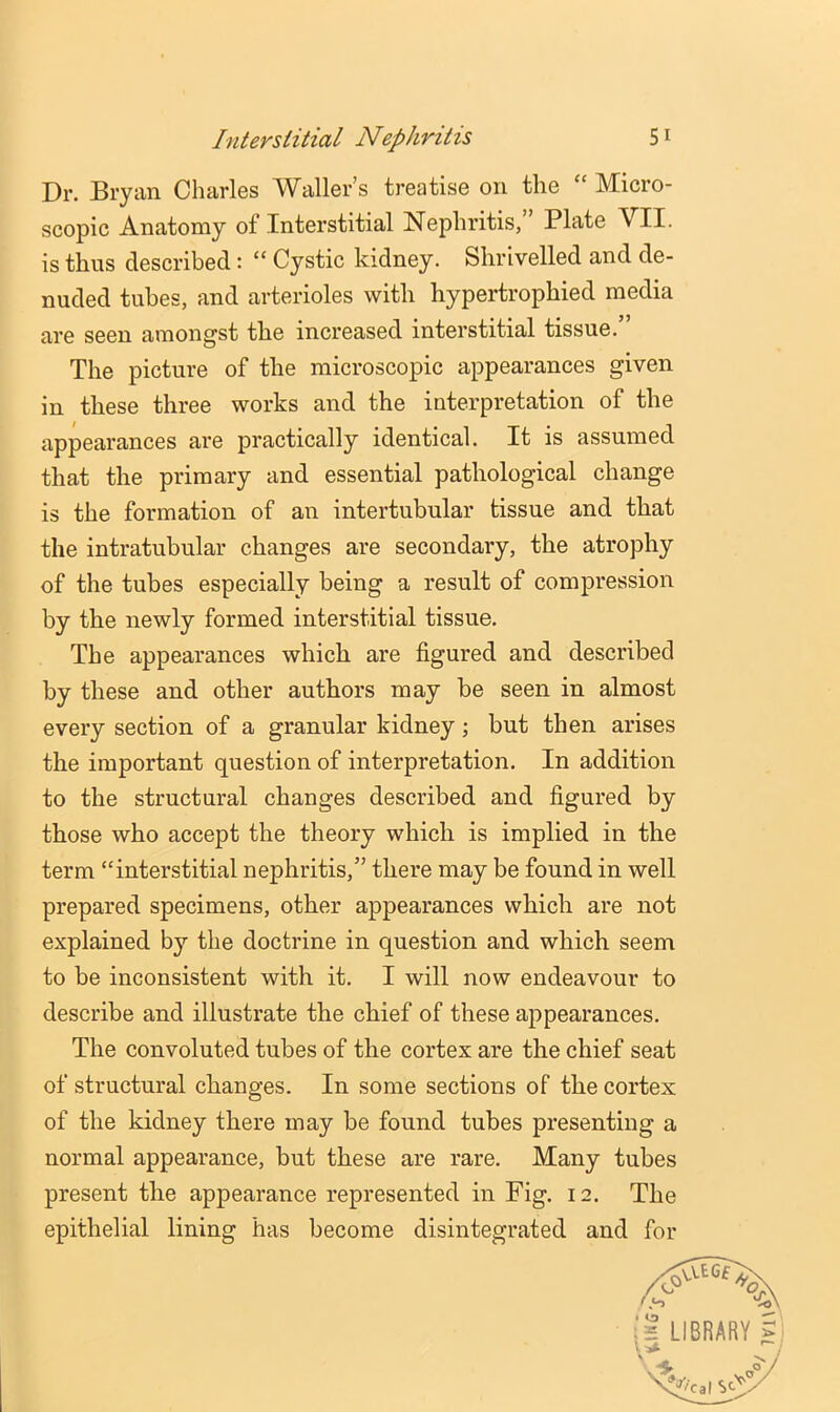 Dr. Bryan Charles Waller’s treatise on the “ Micro- scopic Anatomy of Interstitial Nephritis,’ Plate VII. is thus described: “ Cystic kidney. Shrivelled and de- nuded tubes, and arterioles with hypertrophied media are seen amongst the increased interstitial tissue.” The picture of the microscopic appearances given in these three works and the interpretation of the appearances are practically identical. It is assumed that the primary and essential pathological change is the formation of an intertubular tissue and that the intratubular changes are secondary, the atrophy of the tubes especially being a result of compression by the newly formed interstitial tissue. The appearances which are figured and described by these and other authors may be seen in almost every section of a granular kidney; but then arises the important question of interpretation. In addition to the structural changes described and figured by those who accept the theory which is implied in the term “interstitial nephritis,” there may be found in well prepared specimens, other appearances which are not explained by the doctrine in question and which seem to be inconsistent with it. I will now endeavour to describe and illustrate the chief of these appearances. The convoluted tubes of the cortex are the chief seat of structural changes. In some sections of the cortex of the kidney there may be found tubes presenting a normal appearance, but these are rare. Many tubes present the appearance represented in Fig. 12. The epithelial lining has become disintegrated and for