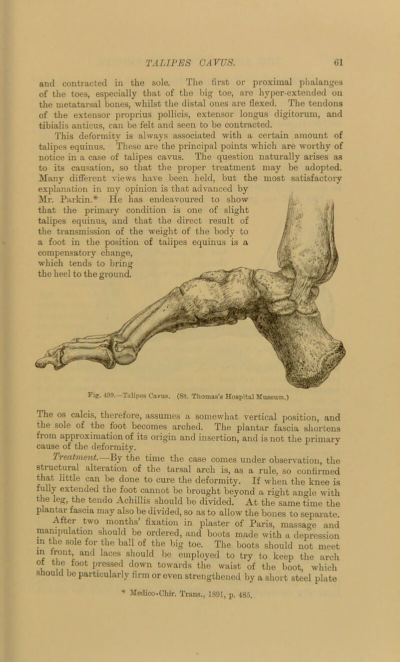 and contracted in the sole. The first or proximal phalanges of the toes, especially that of the big toe, are hyper-extended on the metatarsal bones, whilst the distal ones are flexed. The tendons of the extensor proprius pollicis, extensor longus digitorum, and tibialis anticus, can be felt and seen to be contracted. This deformity is always associated with a certain amount of talipes equinus. These are the principal points which are worthy of notice in a case of talipes cavus. The question naturally arises as to its causation, so that the proper treatment may be adopted. Many different views have been held, but the most satisfactory explanation in my opinion is that advanced by Mr. Parkin.* He has endeavoured to show that the primary condition is one of slight talipes equinus, and that the direct result of the transmission of the weight of the body to a foot in the position of talipes equinus is a compensatory change, which tends to bring the heel to the ground. Fig. 4-99.—Talipes Cavus. (St. Thomas’s Hospital Museum.) The os calcis, therefore, assumes a somewhat vertical position, and the sole of the foot becomes arched. The plantar fascia shortens from approximation of its origin and insertion, and is not the primary cause of the deformity. Treatment.—By the time the case comes under observation, the stiuctural alteration of the tarsal arch is, as a rule, so confirmed that little can be done to cure the deformity. If when the knee is fully extended the foot cannot be brought beyond a right angle with the leg, the tendo Achillis should be divided. At the same time the plantar fascia may also be divided, so as to allow the bones to separate. After two months’ fixation in plaster of Paris, massage and manipulation should be ordered, and boots made with a depression m the sole for the ball of the big toe. The boots should not meet m front, and laces should be employed to try to keep the arch ot the foot pressed down towards the waist of the boot, which should be particularly firm or even strengthened by a short steel plate * Medico-Chir. Trans., 1891, p. 485.