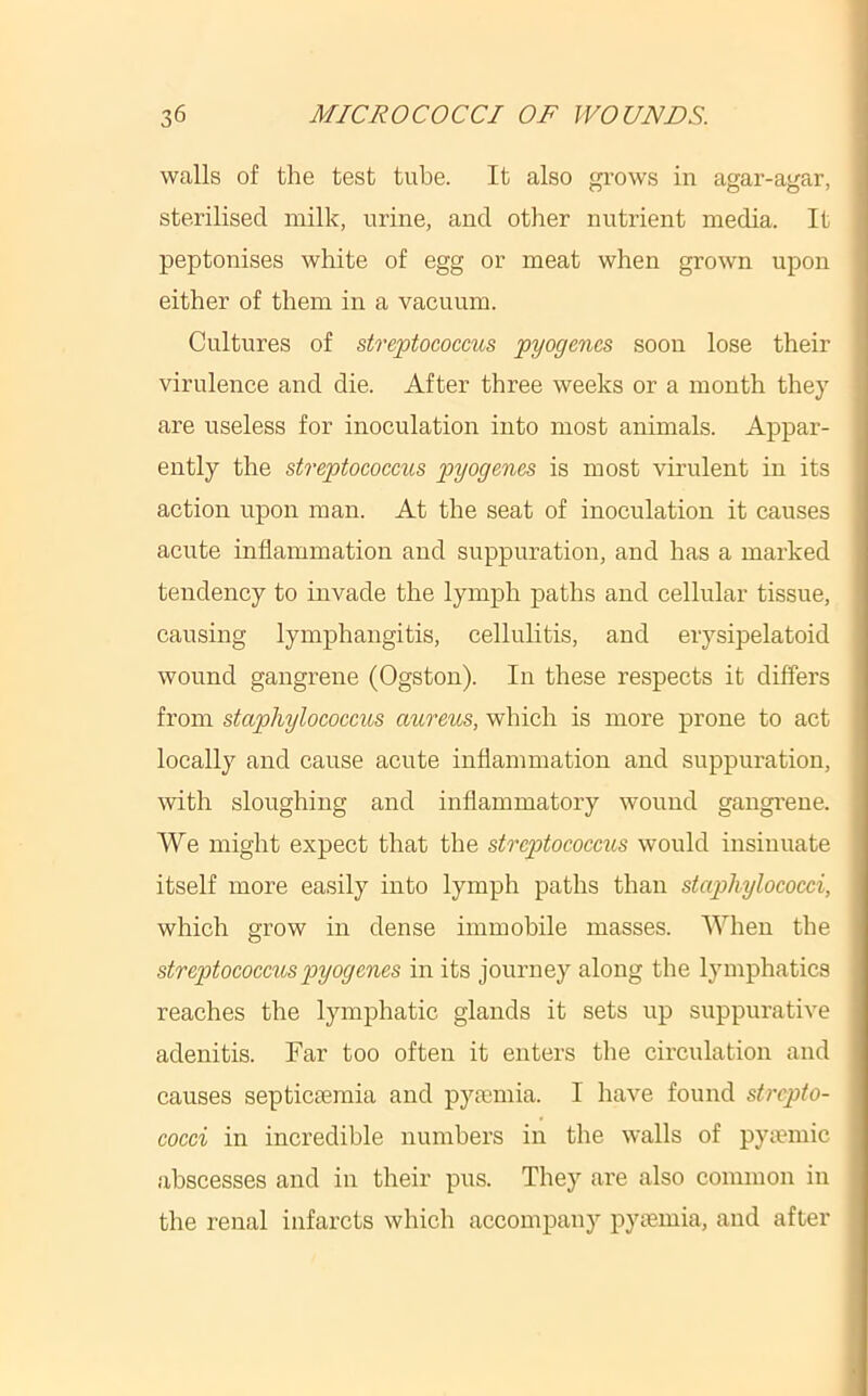 walls of the test tube. It also grows in agar-agar, sterilised milk, urine, and other nutrient media. It peptonises white of egg or meat when grown upon either of them in a vacuum. Cultures of streptococcus pyogenes soon lose their virulence and die. After three weeks or a month they are useless for inoculation into most animals. Appar- ently the streptococcus pyogenes is most virulent in its action upon man. At the seat of inoculation it causes acute inflammation and suppuration, and has a marked tendency to invade the lymph paths and cellular tissue, causing lymphangitis, cellulitis, and erysipelatoid wound gangrene (Ogston). In these respects it differs from staphylococcus aureus, which is more prone to act locally and cause acute inflammation and suppuration, with sloughing and inflammatory wound gangi’ene. We might expect that the streptococcus would insinuate itself more easily into lymph paths than staphylococci, which grow in dense immobile masses. When the streptococcus pyogenes in its journey along the lymphatics reaches the lymphatic glands it sets up suppurative adenitis. Far too often it enters the circnlation and causes septicaemia and pyaemia. I have found strepto- cocci in incredible nnmbers in the walls of pyaemic abscesses and in their pns. They are also common in the renal infarcts which accompany pyemia, and after