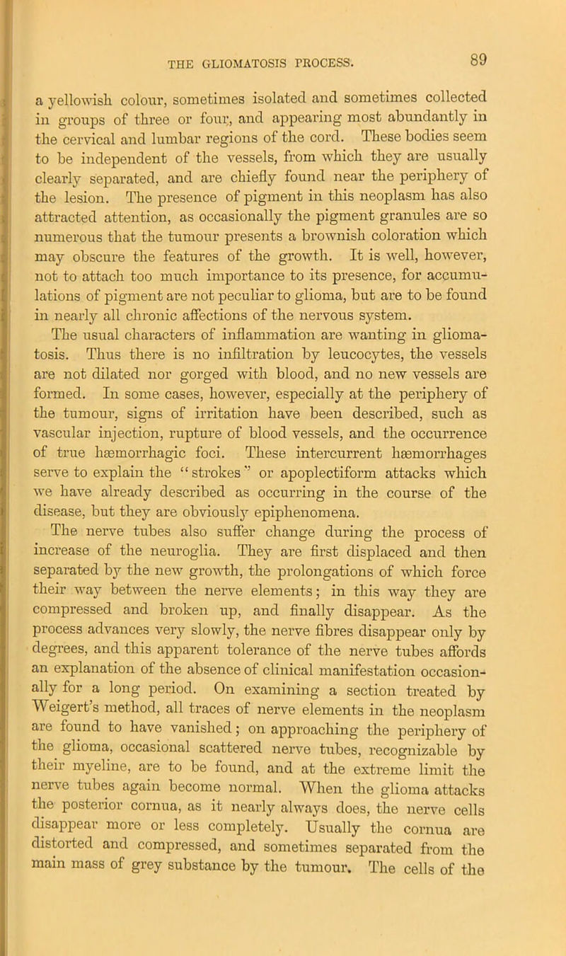 a yellowish colour, sometimes isolated and sometimes collected in groups of three or four, and appearing most abundantly in the cervical and lumbar regions of the cord. These bodies seem to be independent of the vessels, from which they are usually clearly separated, and are chiefly found near the periphery of the lesion. The presence of pigment in this neoplasm has also attracted attention, as occasionally the pigment granules are so numerous that the tumour presents a brownish coloration which may obscure the features of the growth. It is well, however, not to attach too much importance to its presence, for accumu- lations of pigment are not peculiar to glioma, but are to be found in nearly all chronic affections of the nervous system. The usual characters of inflammation are wanting in glioma- tosis. Thus there is no infiltration by leucocytes, the vessels are not dilated nor gorged with blood, and no new vessels are formed. In some cases, however, especially at the periphery of the tumour, signs of irritation have been described, such as vascular injection, rupture of blood vessels, and the occurrence of true haemorrhagic foci. These intercurrent haemorrhages serve to explain the “strokes or apoplectiform attacks which we have already described as occurring in the course of the disease, but they are obviously epiphenomena. The nerve tubes also suffer change during the process of increase of the neuroglia. They are first displaced and then separated by the new growth, the prolongations of which force their way between the nerve elements; in this way they are compressed and broken up, and finally disappear. As the process advances very slowly, the nerve fibres disappear only by degrees, and this apparent tolerance of the nerve tubes affords an explanation of the absence of clinical manifestation occasion- ally for a long period. On examining a section treated by Weigert’s method, all traces of nerve elements in the neoplasm are found to have vanished; on approaching the periphery of the glioma, occasional scattered nerve tubes, recognizable by their myeline, are to be found, and at the exti’eme limit the nerve tubes again become normal. When the glioma attacks the posterior cornua, as it nearly always does, the nerve cells disappear more or less completely. Usually the cornua are distorted and compressed, and sometimes separated from the main mass of grey substance by the tumour. The cells of the