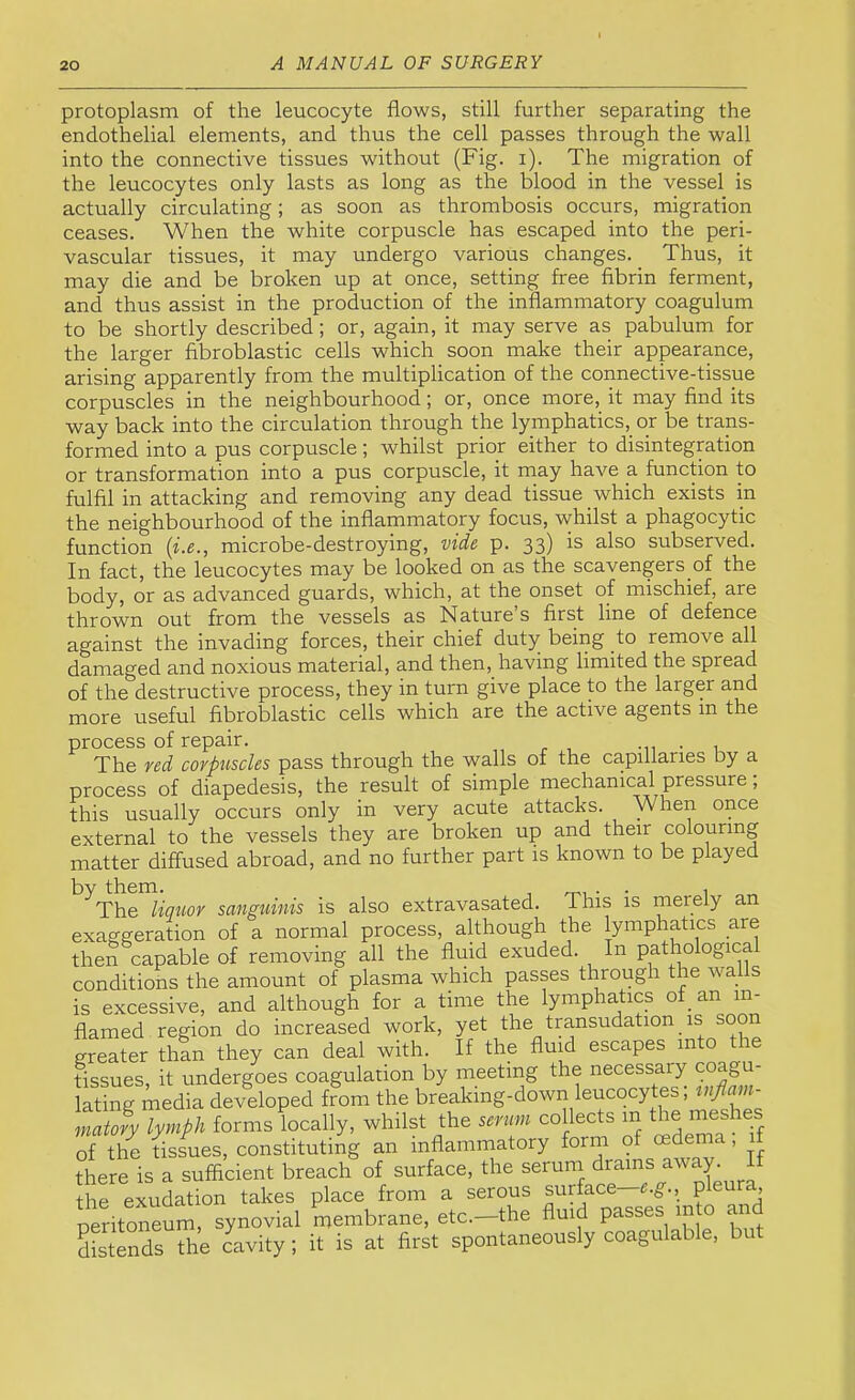 protoplasm of the leucocyte flows, still further separating the endothelial elements, and thus the cell passes through the wall into the connective tissues without (Fig. i). The migration of the leucocytes only lasts as long as the blood in the vessel is actually circulating; as soon as thrombosis occurs, migration ceases. When the white corpuscle has escaped into the peri- vascular tissues, it may undergo various changes. Thus, it may die and be broken up at once, setting free fibrin ferment, and thus assist in the production of the inflammatory coagulum to be shortly described; or, again, it may serve as pabulum for the larger fibroblastic cells which soon make their appearance, arising apparently from the multiplication of the connective-tissue corpuscles in the neighbourhood; or, once more, it may find its way back into the circulation through the lymphatics,_or be trans- formed into a pus corpuscle; whilst prior either to disintegration or transformation into a pus corpuscle, it may have a function to fulfil in attacking and removing any dead tissue which exists in the neighbourhood of the inflammatory focus, whilst a phagocytic function {i.e., microbe-destroying, vide p. 33) is also subserved. In fact, the leucocytes may be looked on as the scavengers of the body, or as advanced guards, which, at the onset of mischief, are thrown out from the vessels as Nature’s first line of defence against the invading forces, their chief duty being to remove all damaged and noxious material, and then, having limited the spread of the destructive process, they in turn give place to the larger and more useful fibroblastic cells which are the active agents in the process of repair. The red corpuscles pass through the walls of the capillaries by a process of diapedesis, the result of simple mechanical pressure, this usually occurs only in very acute attacks. When once external to the vessels they are broken up and their colouring matter diffused abroad, and no further part is known to be played ^The liquor sanguinis is also extravasated. This is merely an exaggeration of a normal process, although the lymphatics are then capable of removing all the fluid exuded. In pathologica conditions the amount of plasma which passes through the walls is excessive, and although for a time the lymphafics of an in- flamed region do increased work, yet the transudation is soon greater than they can deal with. If the fluid escapes mto 11 tissues, it undergoes coagulation by meetmg the necessary co ^ - lating media developed from the breaking-dowri leucocytes, matofy lymph forms locally, whilst the serum collects in the meshes S the tissues, constituting an inflammatory form of oedema; if therfis a sufficient breach of surface, the serum drains-^^url the exudation takes place from a serous surface—«.g., Pleura peritoneum, synovial membrane, etc.—the fluid passes into a distends the cavity; it is at first spontaneously coagulable, but