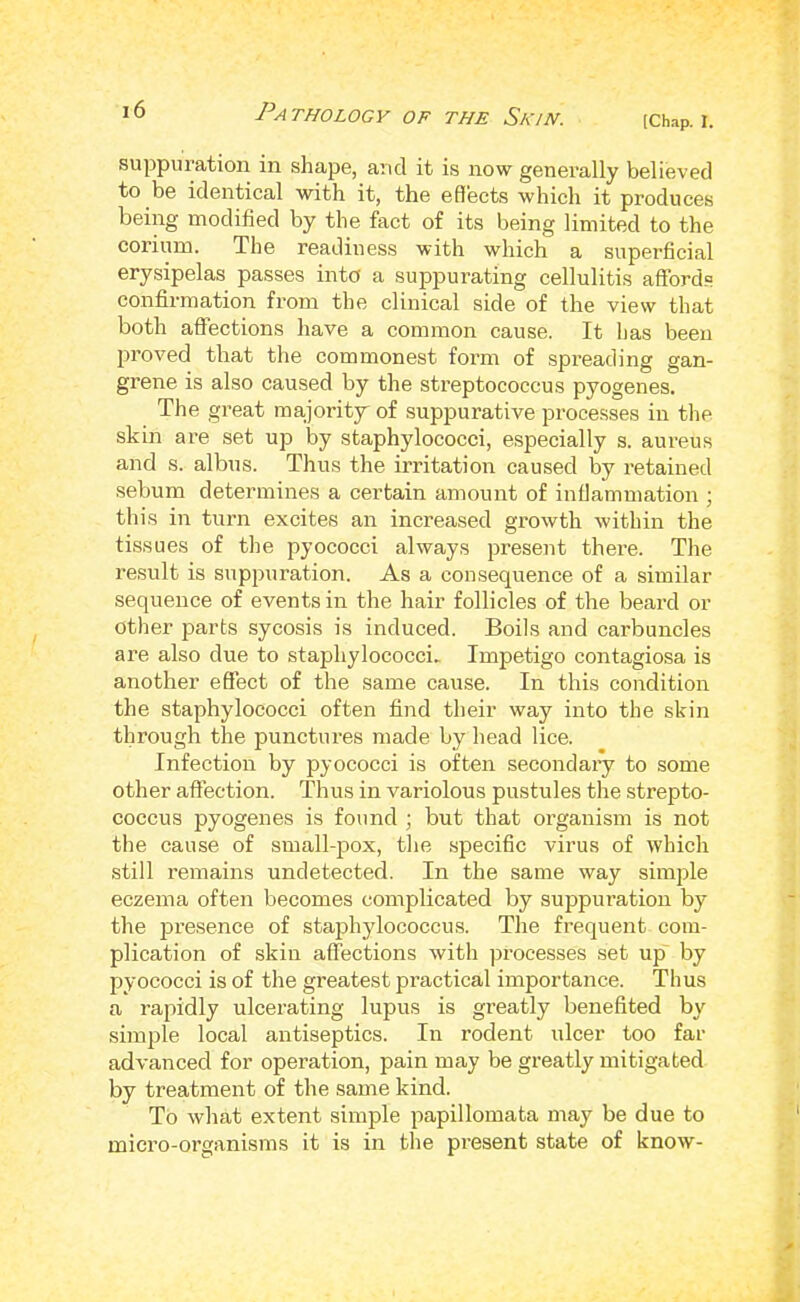 (Chap. I, suppuration in shape, and it is now generally believed to be identical with it, the effects which it produces being modified by the fact of its being limited to the corium. The readiness with which a superficial erysipelas passes into a suppurating cellulitis affords confirmation from the clinical side of the view that both affections have a common cause. It has been proved that the commonest form of spreading gan- grene is also caused by the streptococcus pyogenes. The great majority' of suppurative processes in the skin are set up by staphylococci, especially s. aureus and s. albus. Thus the irritation caused by retained sebum determines a certain amount of inflammation ; this in turn excites an increa.sed growth within the tissues of the pyococci always present there. The result is suppuration. As a consequence of a similar sequence of events in the hair follicles of the beard or other parts sycosis is induced. Boils and carbuncles are also due to staphylococci. Impetigo contagiosa is another effect of the same cause. In this condition the staphylococci often find their way into the skin through the punctures made by head lice. Infection by pyococci is often secondary to some other affection. Thus in variolous pustules the strepto- coccus pyogenes is found ; but that organism is not the cause of small-pox, tlie specific virus of which still remains undetected. In the same way simple eczema often becomes compbcated by suppuration by the 23resence of staphylococcus. The frequent com- plication of skill affections with processes set up by fiyococci is of the greatest practical importance. Thus a rapidly ulcerating lupus is greatly benefited by simjile local antiseptics. In rodent ulcer too far advanced for operation, pain may be greatly mitigated by treatment of the same kind. To what extent simple papillomata may be due to micro-organisms it is in the present state of know-