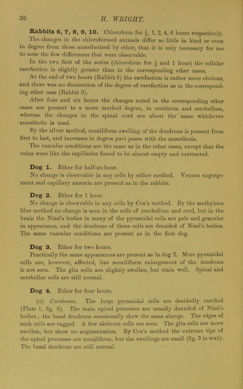 Rabbits 6, 7, 8, 9, 10. Chloroform for 1, 2, 4, 6 hours respectively. The changes in the chloroformed animals differ so little in kind or even in degree from those anaesthetised by ether, that it is only necessary for me to note the few differences that were observable. In the two first of the series (chloroform for £ and 1 hour) the cellular rarefaction is slightly greater than in the corresponding ether cases. At the end of two hours (Rabbit 8) the rarefaction is rather more obvious, and there was no diminution of the degree of rarefaction as in the correspond- ing ether case (Rabbit 3). After four and six hours the changes noted in the corresponding ether cases are present to a more marked degree, in cerebrum and cerebellum, whereas the changes in the spinal cord are about the same whichever anaesthetic is used. By the silver method, moniliform swelling of the dendrons is present from first to last, and increases in degree pari passu with the anaesthesia. The vascular conditions ai'e the same as in the ether cases, except that the veins were like the capillaries found to be almost empty and contracted. Dog 1. Ether for half-an-hour. No change is observable in any cells by either method. Venous engorge- ment and capillary anaemia are present as in the rabbits. Dog 2. Ether for 1 hour. No change is observable in any cells by Cox’s method. By the methylene blue method no change is seen in the cells of cerebellum and cord, but in the brain the Nissl’s bodies in many of the pyramidal cells are pale and granular in appearance, and the dendrons of these cells are denuded of Nissl’s bodies. The same vascular conditions are present as in the first dog. Dog 3. Ether for two hours. Practically the same appearances are present as in dog 2. More pyramidal cells are, however, affected, but moniliform enlargement of the dendrons is not seen. The glia cells are slightly swollen, but stain well. Spinal and cerebellar cells are still normal. Dog 4. Ether for four hours. (ia) Cerebrum. The large pyramidal cells are decidedly rarefied (Plate 1, fig. C). The main apical processes are usually denuded of Nissl’s bodies; the basal dendrons occasionally show the same change. The edges of such cells are ragged. A few skeleton cells are seen. The glia cells are more swollen, but show no augmentation. By Cox’s method the extreme tips of the apical processes are moniliform, but the swellings are small (fig. 3 in text). The basal dendrons are still normal.