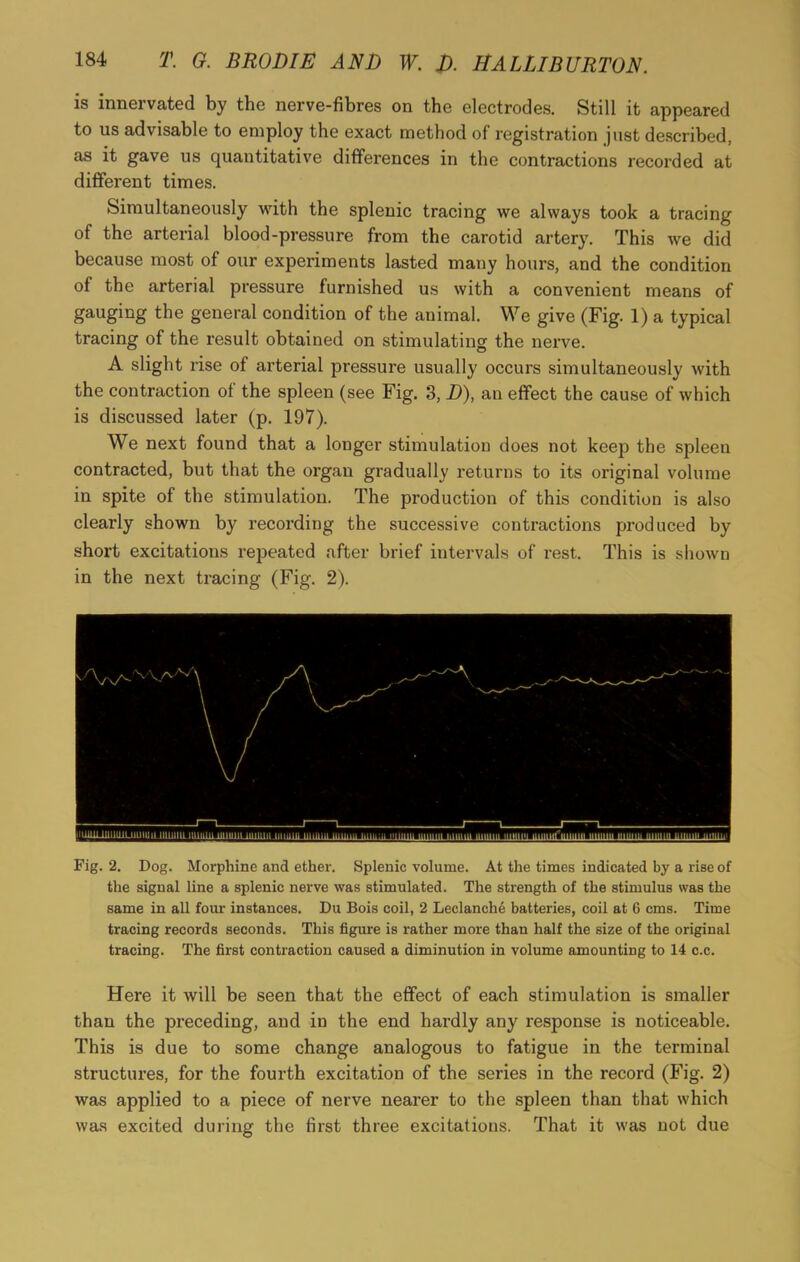 is innervated by the nerve-fibres on the electrodes. Still it appeared to us advisable to employ the exact method of registration just described, as it gave us quantitative differences in the contractions recorded at different times. Simultaneously with the splenic tracing we always took a tracing of the arterial blood-pressure from the carotid artery. This we did because most of our experiments lasted many hours, and the condition of the arterial pressure furnished us with a convenient means of gauging the general condition of the animal. We give (Fig. 1) a typical tracing of the result obtained on stimulating the nerve. A slight rise of arterial pressure usually occurs simultaneously with the contraction of the spleen (see Fig. 3, D), an effect the cause of which is discussed later (p. 197). We next found that a longer stimulation does not keep the spleen contracted, but that the organ gradually returns to its original volume in spite of the stimulation. The production of this condition is also clearly shown by recording the successive contractions produced by short excitations repeated after brief intervals of rest. This is shown in the next tracing (Fig. 2). Fig. 2. Dog. Morphine and ether. Splenic volume. At the times indicated by a rise of the signal line a splenic nerve was stimulated. The strength of the stimulus was the same in all four instances. Du Bois coil, 2 Leclanche batteries, coil at 6 cms. Time tracing records seconds. This figure is rather more than half the size of the original tracing. The first contraction caused a diminution in volume amounting to 14 c.c. Here it will be seen that the effect of each stimulation is smaller than the preceding, and in the end hardly any response is noticeable. This is due to some change analogous to fatigue in the terminal structures, for the fourth excitation of the series in the record (Fig. 2) was applied to a piece of nerve nearer to the spleen than that which was excited during the first three excitations. That it was not due