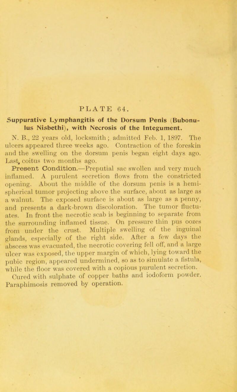 Suppurative Lymphangitis of the Dorsum Penis (Bubonu- lus Nisbethi), with Necrosis of the Integument. N. B., 22 years old, locksmith; admitted Feb. 1, 1897. The ulcers appeared three weeks ago. Contraction of the foreskin and the swelling on the dorsum penis began eight da3^s ago. Last^ coitus two months ago. Present Condition.—Preputial sac swollen and very much inflamed. A purulent secretion flows from the constricted opening. About the middle of the dorsum penis is a hemi- spherical tumor projecting above the surface, about as large as a walnut. The exposed surface is about as large as a penny, and presents a dark-brown discoloration. The tumor fluctu- ates. In fi-ont the necrotic scab is beginning to separate from the .surrounding inflamed tissue. On pressure thin pus oozes from under the crust. Multiple swelling of the inguinal glands, especially of the right side. After a few days the abscess was evacuated, the necrotic covering fell off, and a large ulcer was exposed, the upper margin of which, lying toward the pubic region, appeared undermined, so as to simulate a fistula, while the floor was covered with a copious purulent secretion. Cured with sulphate of copper baths and iodoform powder. Paraphimosis removed by operation.