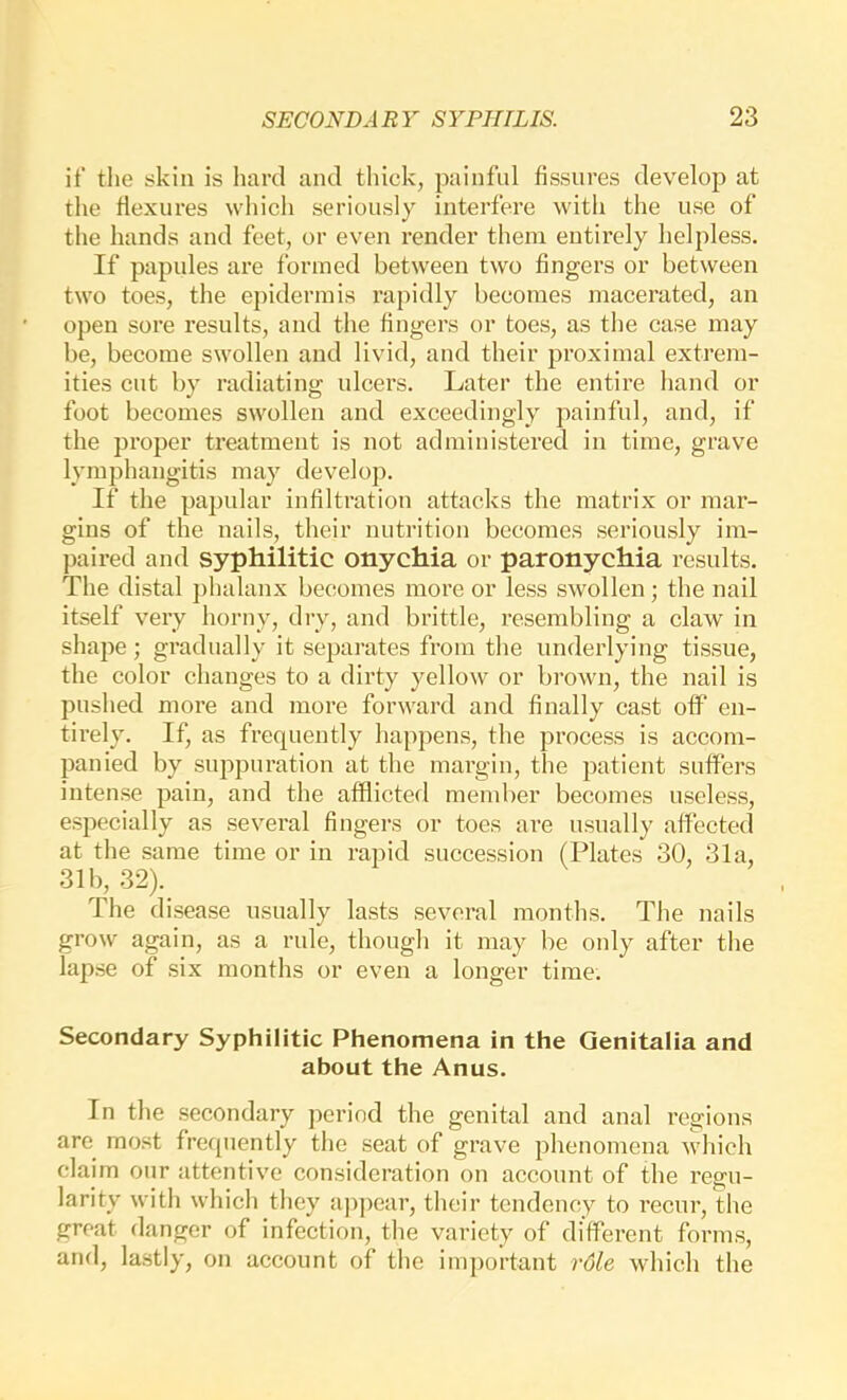 if the skin is hard and thick, painful fissures develop at the flexures which seriously interfere with the use of the hands and feet, or even render them entirely helpless. If papules are formed between two fingers or between two toes, the epidermis rapidly becomes macerated, an open sore results, and the fingers or toes, as the case may be, become swollen and livid, and their proximal extrem- ities cut by radiating idcers. Later the entire hand or foot becomes swollen and exceedingly painful, and, if the proper treatment is not administered in time, grave lymjihangitis may develop. If the papular infiltration attacks the matrix or mar- gins of the nails, their nutrition becomes seriously im- paired and syphilitic onychia or paronychia results. The distal phalanx becomes more or less swollen; the nail itself very horny, dry, and brittle, resembling a claw in shape; gradually it separates from the underlying tissue, the color changes to a dirty yellow or brown, the nail is pushed more and more forward and finally cast off en- tirely. If, as frequently happens, the process is accom- panied by suppuration at the margin, the patient suffei’s intense pain, and the afflicted member becomes useless, especially as several fingers or toes are usually affected at the same time or in rapid succession (Plates 30, 31a, 31b, 32). The disease usually lasts several months. The nails grow again, as a rule, though it may be only after the lapse of six months or even a longer time. Secondary Syphilitic Phenomena in the Genitalia and about the Anus. In the secondary period the genital and anal regions are most frequently the seat of grave phenomena which claim our attentive consideration on account of the regu- larity with which they appear, their tendency to recur, the great danger of infection, the variety of different forms, and, lastly, on account of the important v6le which the