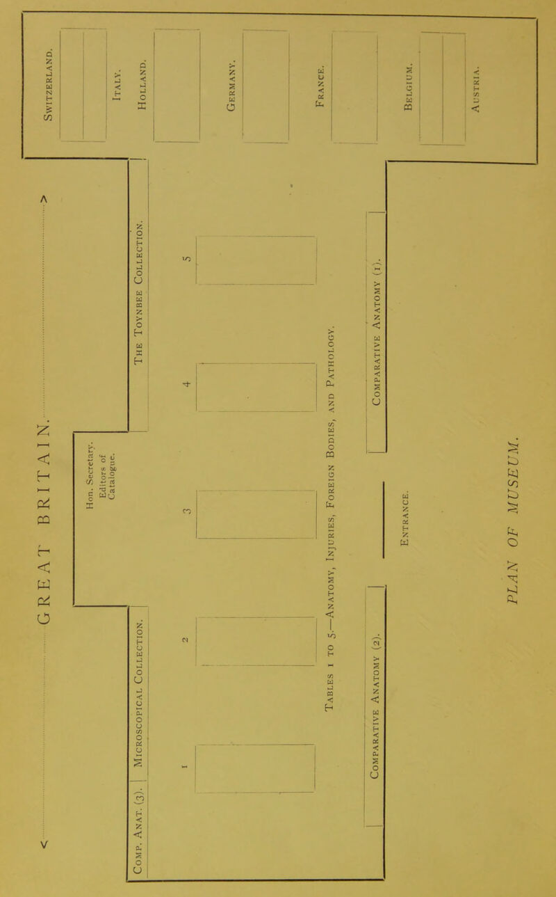 PLAN OF MUSEUM.