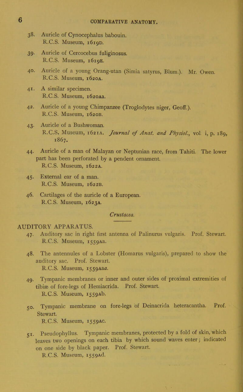 38. Auricle of Cynocephalus babouin. R.C.S. Museum, 1619D. 39. Auricle of Cercocebus fuliginosus. R.C.S. Museum, 1619E. 40. Auricle of a young Orang-utan (Simla satyrus, Blum.). Mr. Owen. R.C.S. Museum, 1620A. 41. A similar specimen. R.C.S. Museum, i620Aa. 42. Auricle of a young Chimpanzee (Troglodytes niger, Geoff.). R.C.S. Museum, 1620B. 43. Auricle of a Bushwoman. R.C.S. Museum, 162ia. Journal of Anal, and Physiol., vol i, p. 189, 1867. 44. Auricle of a man of Malayan or Neptunian race, from Tahiti. The lower part has been perforated by a pendent ornament. R.C.S. Museum, 1622a. 45. External ear of a man. R.C.S. Museum, 1622B. 46. Cartilages of the auricle of a European. R.C.S. Museum, 1623A. Crustacea. AUDITORY APPARATUS. 47. Auditory sac in right first antenna of Palinurus vulgaris. Prof. Stewart. R.C.S. Museum, i559Aa. 48. The antennules of a Lobster (Homarus vulgaris), prepared to show the auditory sac. Prof. Stewart. R.C.S. Museum, i559Aaa. 49. Tympanic membranes or inner and outer sides of proximal extremities of tibiae of fore-legs of Hemiacrida. Prof. Stewart. R.C.S. Museum, i559Ab. 50. Tympanic membrane on fore-legs of Deinacrida heteracantha. Prof. Stewart. R.C.S. Museum, 1559AC. 51. Pseudophyllus. Tympanic membranes, protected by a fold of skin, which leaves two openings on each tibia by which sound waves enter; indicated on one side by black paper. Prof. Stewart.