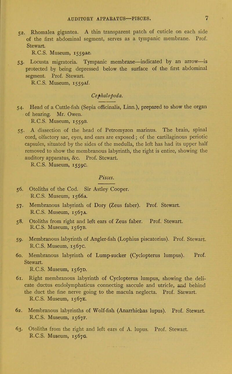 52. Rhomalea gigantea. A thin transparent patch of cuticle on each side of the first abdominal segment, serves as a tympanic membrane. Prof. Stewart R.C.S. Museum, i559Ae. 53. Locusta migratoria. Tympanic membrane—indicated by an arrow—is protected by being depressed below the surface of the first abdominal segment. Prof. Stewart. R.C.S. Museum, i559Af. Cephalopoda. 54. Head of a Cuttle-fish (Sepia officinalis, Linn.), prepared to show the organ of hearing. Mr. Owen. R.C.S. Museum, 15S9B. 55. A dissection of the head of Petromyzon marinus. The brain, spinal cord, olfactory sac, eyes, and ears are exposed; of the cartilaginous periotic capsules, situated by the sides of the medulla, the left has had its upper half removed to show the membranous labyrinth, the right is entire, showing the auditory apparatus, &c. Prof. Stewart. R.C.S. Museum, 1559c. Pisces. 56. Otoliths of the Cod. Sir Astley Cooper. R.C.S. Museum, 1566A. 57. Membranous labyrinth of Dory (Zeus faber). Prof. Stewart. R.C.S. Museum, 1567A. 58. Otoliths from right and left ears of Zeus faber. Prof. Stewart. R.C.S. Museum, 1567B. 59. Membranous labyrinth of Angler-fish (Lophius piscatorius). Prof. Stewart. R.C.S. Museum, 1567c. 60. Membranous labyrinth of Lump-sucker (Cyclopterus lumpus). Prof. Stewart. R.C.S. Museum, 1567D. 61. Right membranous labyrinth of Cyclopterus lumpus, showing the deli- cate ductus endolymphaticus connecting saccule and utricle, and behind the duct the fine nerve going to the macula neglecta. Prof. Stewart. R.C.S. Museum, 1567E. 62. Membranous labyrinths of Wolf-fish (Anarrhichas lupus). Prof. Stewart. R.C.S. Museum, 1567F. 63. Otoliths from the right and left ears of A. lupus. Prof. Stewart.