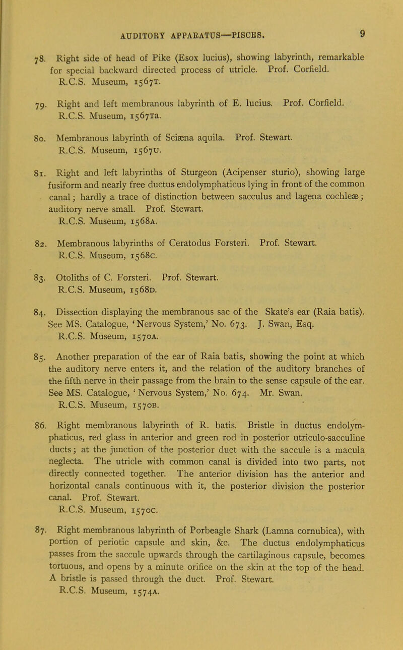 78. Right side of head of Pike (Esox lucius), showing labyrinth, remarkable for special backward directed process of utricle. Prof. Corfield. R.C.S. Museum, 1567T. 79. Right and left membranous labyrinth of E. lucius. Prof. Corfield. R.C.S. Museum, isfiyTa. 80. Membranous labyrinth of Sciaena aquila. Prof. Stewart. R.C.S. Museum, 15670. 81. Right and left labyrinths of Sturgeon (Acipenser sturio), showing large fusiform and nearly free ductus endolymphaticus lying in front of the common canal; hardly a trace of distinction between sacculus and lagena cochleae; auditory nerve small. Prof. Stewart. R.C.S. Museum, 1568a. 82. Membranous labyrinths of Ceratodus Forsteri. Prof. Stewart. R.C.S. Museum, 1568c. 83. Otoliths of C. Forsteri. Prof. Stewart. R.C.S. Museum, 15680. 84. Dissection displaying the membranous sac of the Skate’s ear (Raia batis). See MS. Catalogue, ‘Nervous System,’ No. 673. J. Swan, Esq. R.C.S. Museum, 1570A. 85. Another preparation of the ear of Raia batis, showing the point at which the auditory nerve enters it, and the relation of the auditory branches of the fifth nerve in their passage from the brain to the sense capsule of the ear. See MS. Catalogue, ‘ Nervous System,’ No. 674. Mr. Swan. R.C.S. Museum, 1570B. 86. Right membranous labyrinth of R. batis. Bristle in ductus endolym- phaticus, red glass in anterior and green rod in posterior utriculo-sacculine ducts; at the junction of the posterior duct with the saccule is a macula neglecta. The utricle with common canal is divided into two parts, not directly connected together. The anterior division has the anterior and horizontal canals continuous with it, the posterior division the posterior canal. Prof. Stewart. R.C.S. Museum, 1570c. 87. Right membranous labyrinth of Porbeagle Shark (Lamna cornubica), with portion of periotic capsule and skin, &c. The ductus endolymphaticus passes from the saccule upwards through the cartilaginous capsule, becomes tortuous, and opens by a minute orifice on the skin at the top of the head. A bristle is passed through the duct. Prof. Stewart.