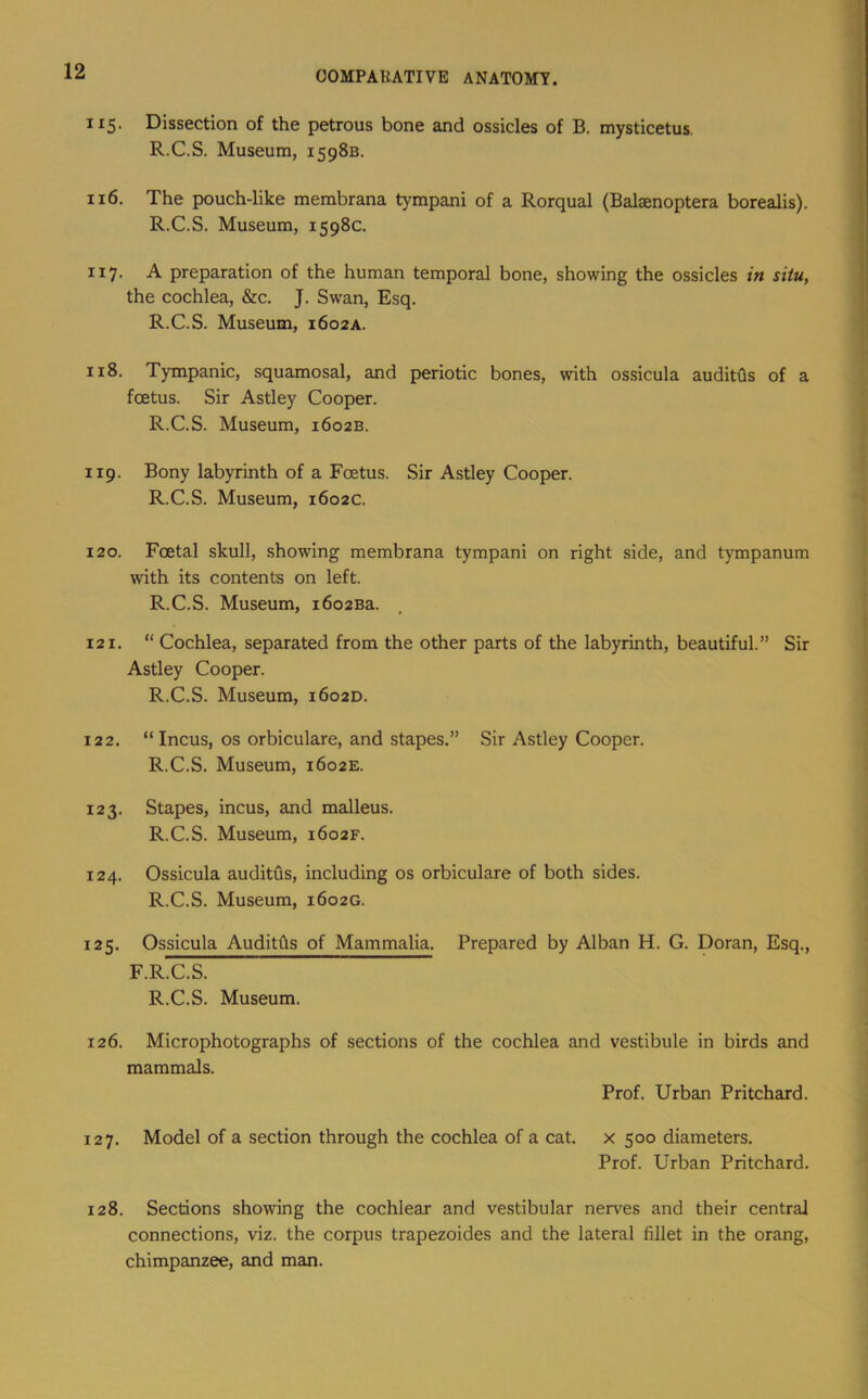 115. Dissection of the petrous bone and ossicles of B. mysticetus, R.C.S. Museum, 1598B. 116. The pouch-like membrana tympani of a Rorqual (Balaenoptera borealis). R.C.S. Museum, 1598c. 117. A preparation of the human temporal bone, showing the ossicles in situ, the cochlea, &c. J. Swan, Esq. R.C.S. Museum, 1602A. 118. Tympanic, squamosal, and periotic bones, with ossicula auditQs of a foetus. Sir Astley Cooper. R.C.S. Museum, 1602B. 119. Bony labyrinth of a Foetus. Sir Astley Cooper. R.C.S. Museum, 1602c. 120. Foetal skull, showing membrana tympani on right side, and tympanum with its contents on left. R.C.S. Museum, i6o2Ba. 121. “ Cochlea, separated from the other parts of the labyrinth, beautiful.” Sir Astley Cooper. R.C.S. Museum, 1602D. 122. “Incus, os orbiculare, and stapes.” Sir Astley Cooper. R.C.S. Museum, 1602E. 123. Stapes, incus, and malleus. R.C.S. Museum, 1602F. 124. Ossicula auditQs, including os orbiculare of both sides. R.C.S. Museum, 1602G. 125. Ossicula AuditQs of Mammalia. Prepared by Alban H. G. Doran, Esq., F.R^OS! R.C.S. Museum. 126. Microphotographs of sections of the cochlea and vestibule in birds and mammals. Prof. Urban Pritchard. 127. Model of a section through the cochlea of a cat. x 500 diameters. Prof. Urban Pritchard. 128. Sections showing the cochlear and vestibular nerves and their central connections, viz. the corpus trapezoides and the lateral fillet in the orang, chimpanzee, and man.
