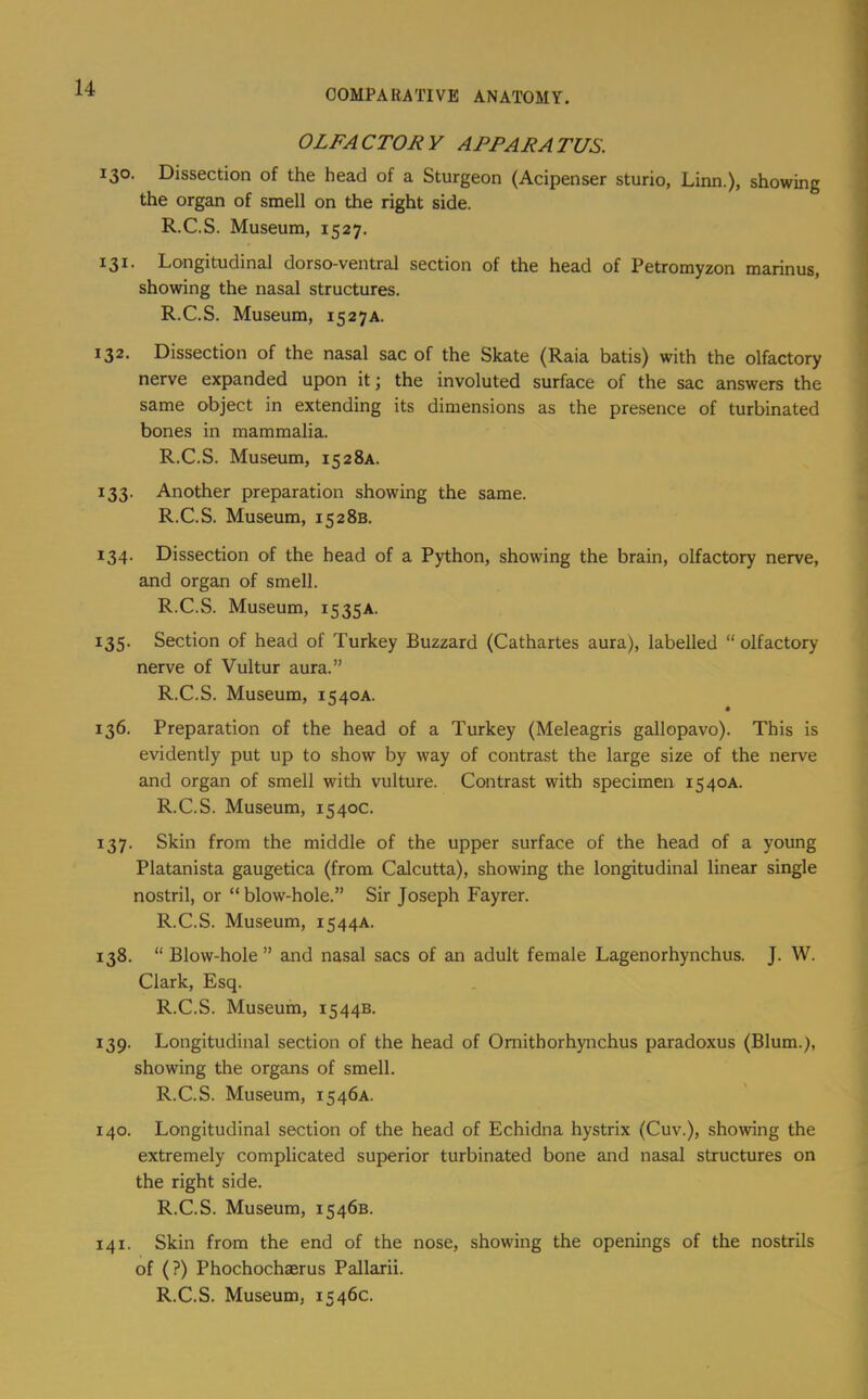 OLFACTORY APPARATUS. 130. Dissection of the head of a Sturgeon (Acipenser sturio, Linn.), showing the organ of smell on the right side. R.C.S. Museum, 1527. 131. Longitudinal dorso-ventral section of the head of Petromyzon marinus, showing the nasal structures. R.C.S. Museum, 1527A. 132. Dissection of the nasal sac of the Skate (Raia batis) with the olfactory nerve expanded upon it j the involuted surface of the sac answers the same object in extending its dimensions as the presence of turbinated bones in mammalia. R.C.S. Museum, 1528A. 133. Another preparation showing the same. R.C.S. Museum, 1528s. 134. Dissection of the head of a Python, showing the brain, olfactory nerve, and organ of smell. R.C.S. Museum, 1535A. 135. Section of head of Turkey Buzzard (Cathartes aura), labelled “ olfactory nerve of Vultur aura.” R.C.S. Museum, 1540A. • 136. Preparation of the head of a Turkey (Meleagris gallopavo). This is evidently put up to show by way of contrast the large size of the nerve and organ of smell with vulture. Contrast with specimen 1540A. R.C.S. Museum, 1540c. 137. Skin from the middle of the upper surface of the head of a young Platanista gaugetica (from Calcutta), showing the longitudinal linear single nostril, or “ blow-hole.” Sir Joseph Fayrer. R.C.S. Museum, 1544A. 138. “Blow-hole” and nasal sacs of an adult female Lagenorhynchus. J. W. Clark, Esq. R.C.S. Museum, 1544B. 139. Longitudinal section of the head of Omithorhynchus paradoxus (Blum.), showing the organs of smell. R.C.S. Museum, 1546A. 140. Longitudinal section of the head of Echidna hystrix (Cuv.), showing the extremely complicated superior turbinated bone and nasal structures on the right side. R.C.S. Museum, 1546B. 141. Skin from the end of the nose, showing the openings of the nostrils of (?) Phochochserus Pallarii.
