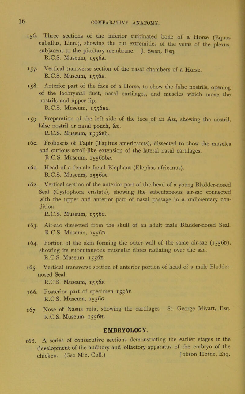 156. Three sections of the inferior turbinated bone of a Horse (Equus caballus, Linn.), showing the cut extremities of the veins of the plexus, subjacent to the pituitary membrane. J. Swan, Esq. R.C.S. Museum, 1556a. 157. Vertical transverse section of the nasal chambers of a Horse. R.C.S. Museum, 1556B. 158. Anterior part of the face of a Horse, to show the false nostrils, opening of the lachrymal duct, nasal cartilages, and muscles which move the nostrils and upper lip. R.C.S. Museum, i556Ba. 159. Preparation of the left side of the face of an Ass, showing the nostril, false nostril or nasal pouch, &c. R.C.S. Museum, i556Bb. 160. Proboscis of Tapir (Tapirus americanus), dissected to show the muscles and curious scroll-like extension of the lateral nasal cartilages. R.C.S. Museum, i556Bba. 161. Head of a female foetal Elephant (Elephas africanus). R.C.S. Museum, 1556BC. 162. Vertical section of the anterior part of the head of a young Bladder-nosed Seal (Cystophora cristata), showing the subcutaneous air-sac connected with the upper and anterior part of nasal passage in a rudimentary con- dition. R.C.S. Museum, 1556c. 163. Air-sac dissected from the skull of an adult male Bladder-nosed Seal. R.C.S. Museum, 15560. 164. Portion of the skin forming the outer wall of the same air-sac (15560), showing its subcutaneous muscular fibres radiating over the sac. R.C.S. Museum, 1556E. 165. Vertical transverse section of anterior portion of head of a male Bladder- nosed Seal. R.C.S. Museum, 1556F. 166. Posterior part of specimen 1556F. R.C.S. Museum, 15560. 167. Nose of Nasua rufa, showing the cartilages. St. George Mivart, Esq. R.C.S. Museum, 1556H. EMBRYOLOGY. 168. A series of consecutive sections demonstrating the earlier stages in the development of the auditory and olfactory apparatus of the embryo of the chicken. (See Mic. Coll.) Jobson Horne, Esq.