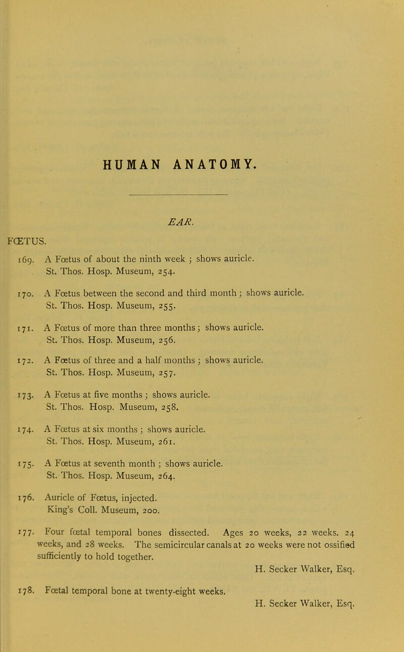 EAIi. FCETUS. i6g. A Fcetus of about the ninth week j shows auricle. St. Thos. Hosp. Museum, 254. 170. A Fcetus between the second and third month; shows auricle. St. Thos. Hosp. Museum, 255. 171. A Foetus of more than three months; shows auricle. St. Thos. Hosp. Museum, 256. 172. A Foetus of three and a half months ; shows auricle. St. Thos. Hosp. Museum, 257. 173. A Fcetus at five months ; shows auricle. St. Thos. Hosp. Museum, 258. 174. A Foetus at six months ; shows auricle. St. Thos. Hosp. Museum, 261. 175. A Foetus at seventh month ; shows auricle. St. Thos. Hosp. Museum, 264. 176. Auricle of Foetus, injected. King’s Coll. Museum, 200. 177. Four foetal temporal bones dissected. Ages 20 weeks, 22 weeks. 24 weeks, and 28 weeks. The semicircular canals at 20 weeks were not ossified sufficiently to hold together. H. Seeker Walker, Esq. 178. Foetal temporal bone at twenty-eight weeks. H. Seeker Walker, Esq.