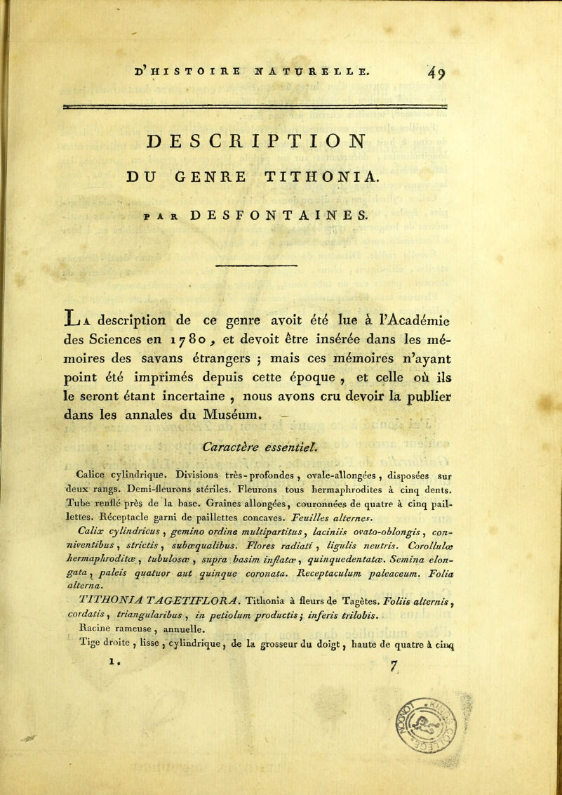 DESCRIPTION DU GENRE T I T H O N I A. par desfontaines. La description de ce genre avoit été lue à l’Académie des Sciences en 1780, et devoit être insérée dans les mé- moires des savans étrangers $ mais ces mémoires n’ayant point été imprimés depuis cette époque , et celle où ils le seront étant incertaine , nous avons cru devoir la publier dans les annales du Muséum. — Caractère essentiel. Calice cylindrique. Divisions très-profondes , ovale-allongées, disposées sur deux rangs. Demi-fleurons stériles. Fleurons tous hermaphrodites à cinq dents. Tube renflé près de la base. Graines allongées, couronnées de quatre à cinq pail- lettes. Réceptacle garni de paillettes concaves. Feuilles alternes. Calix cylindricus , gemino ordine multipartitus, laciniis ovato-oblongis, con- niventibus, strictis, subœqiialibus. Flores radiati , ligulis neutris. Corollulœ hermaphrodites , tubulosœ , supra basim inflatœ, quinquedentatœ. Semina elon- gata 1 paleis quatuor aut quinque coronata. Receptaculum paleaceum. Folia alterna. TITHONIA TAGETIFLORA. Tithonia à fleurs de Tagètes. Foliis altérais, cordatis , triangularibus , in petiolum productif; inferis trilobis. Racine rameuse , annuelle. Tige droite , lisse , cylindrique, de la grosseur du doigt, haute de quatre à ciiwj 7 1.