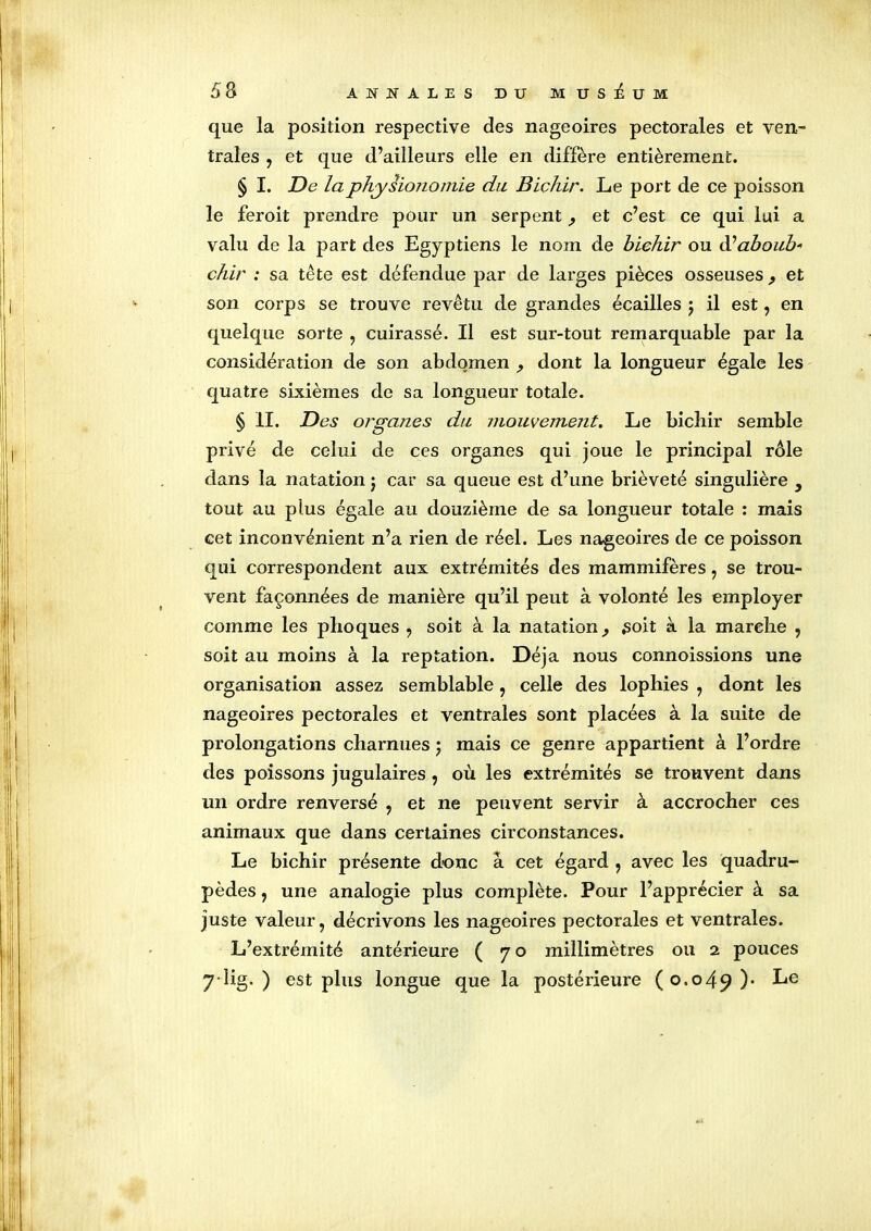 que la position respective des nageoires pectorales et ven- trales , et que d’ailleurs elle en diffère entièrement. § I. De la physionomie du Bichir. Le port de ce poisson le feroit prendre pour un serpent et c’est ce qui lui a valu de la part des Egyptiens le nom de bichir ou à?about* chir : sa tête est défendue par de larges pièces osseuses , et son corps se trouve revêtu de grandes écailles 5 il est, en quelque sorte , cuirassé. Il est sur-tout remarquable par la considération de son abdomen dont la longueur égale les quatre sixièmes de sa longueur totale. § il. Des organes du mouvement. Le bichir semble privé de celui de ces organes qui joue le principal rôle dans la natation j car sa queue est d’une brièveté singulière , tout au plus égale au douzième de sa longueur totale : mais cet inconvénient n’a rien de réel. Les nageoires de ce poisson qui correspondent aux extrémités des mammifères , se trou- vent façonnées de manière qu’il peut à volonté les employer comme les phoques , soit à la natation ^ soit à la marche , soit au moins à la reptation. Déjà nous connoissions une organisation assez semblable, celle des lophies , dont les nageoires pectorales et ventrales sont placées à la suite de prolongations charnues ; mais ce genre appartient à l’ordre des poissons jugulaires , où les extrémités se trouvent dans un ordre renversé , et ne peuvent servir à accrocher ces animaux que dans certaines circonstances. Le bichir présente donc a cet égard , avec les quadru- pèdes , une analogie plus complète. Pour l’apprécier à sa juste valeur, décrivons les nageoires pectorales et ventrales. L’extrémité antérieure ( 70 millimètres ou 2 pouces 7'lig. ) est plus longue que la postérieure (0.049)* Le