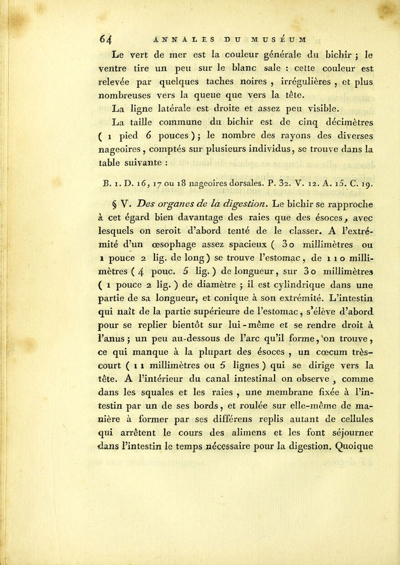 Le vert de mer est la couleur générale du bichir j le ventre tire un peu sur le blanc sale : cette couleur est relevée par quelques taches noires , irrégulières , et plus nombreuses vers la queue que vers la tête. La ligne latérale est droite et assez peu visible. La taille commune du bicliir est de cinq décimètres ( i pied 6 pouces ) j le nombre des rayons des diverses nageoires , comptés sur plusieurs individus, se trouve dans la table suivante : B. i. D. 16, 17 ou 18 nageoires dorsales. P. 32. V. 12. A. i5. C. 19. § V. Des organes de la digestion. Le bicliir se rapproche à cet égard bien davantage des raies que des ésoces, avec lesquels on seroit d’abord tenté de le classer. A l’extré- mité d’un œsophage assez spacieux ( 3 o millimètres ou 1 pouce 2 lig. de long ) se trouve l’estomac, de 110 milli- mètres ( 4 pouc. 5 lig. ) de longueur, sur 3 o millimètres ( 1 pouce 2 lig. ) de diamètre \ il est cylindrique dans une partie de sa longueur, et conique à son extrémité. L’intestin qui naît de la partie supérieure de l’estomac, s’élève d’abord pour se replier bientôt sur lui - même et se rendre droit à l’anus j un peu au-dessous de l’arc qu’il forme,'on trouve, ce qui manque à la plupart des ésoces , un cæcum très- court (11 millimètres ou 5 lignes ) qui se dirige vers la tête. A l’intérieur du canal intestinal on observe } comme dans les squales et les raies , une membrane fixée à l’in- testin par un de ses bords, et roulée sur elle-même de ma- nière à former par ses différens replis autant de cellules qui arrêtent le cours des alimens et les font séjourner dans l’intestin le temps nécessaire pour la digestion. Quoique