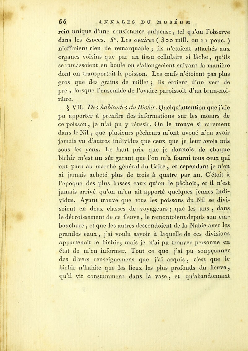 rein unique d’une consistance pulpeuse, tel qu’on l’observe dans les ésoces. 5°. Les ovaires ( 3oo mill. ou 1 i pouc. ) n’offroient rien de remarquable ; ils n’étoient attachés aux organes voisins que par un tissu cellulaire si lâche , qu’ils se ramassoient en boule ou s’allongeaient suivant la manière dont on transportoit le poisson. Les œufs n’étoient pas plus gros que des grains de millet ; ils étoient d’un vert de pré , lorsque l’ensemble de l’ovaire paroissoit d’un brun-noi- râtre. § VII. Des habitudes duBichir. Queîqu’attention que j’aie pu apporter à prendre des informations sur les mœurs de ce poisson, je n’ai pu y réussir. On le trouve si rarement dans le Nil , que plusieurs pêcheurs m’ont avoué n’en avoir jamais vu d’autres individus que ceux que je leur avois mis sous les yeux. Le haut prix que je donnois de chaque bichir m’est un sûr garant que l’on m’a fourni tous ceux qui ont paru au marché général du Caire , et cependant je n’en ai jamais acheté plus de trois à quatre par an. C’étoit à l’époque des plus basses eaux qu’on le pêchoit, et il n’est jamais arrivé qu’on m’en ait apporté quelques jeunes indi- vidus. Ayant trouvé que tous les poissons du Nil se divi- soient en deux classes de voyageurs $ que les uns ? dans le décroissement de ce fleuve , le remontoient depuis son em- bouchure , et que les autres descendoient de la Nubie avec les grandes eaux , j’ai voulu savoir à laquelle de ces divisions appartenait le bichir j mais je n’ai pu trouver personne en état de m’en informer. Tout ce que j’ai pu soupçonner des divers renseignemens que j’ai acquis , c’est que le bichir n’habite que les lieux les plus profonds du fleuve , qu’il vit constamment dans la vase ? et qu’abandonnant
