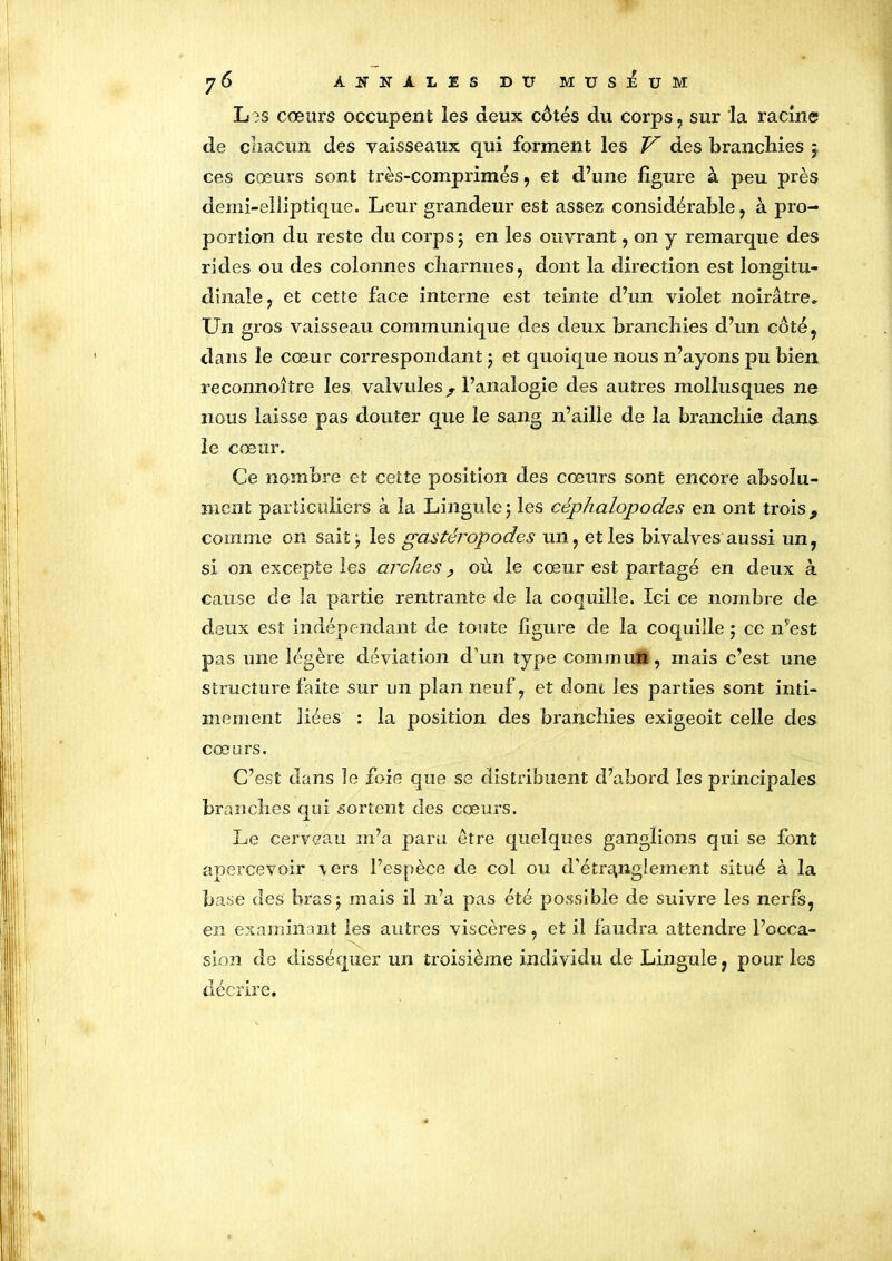 L3S cœurs occupent les deux côtés du corps, sur la racine de chacun des vaisseaux qui forment les V des branchies 5 ces cœurs sont très-comprimés, et d’une figure à peu près demi-elliptique. Leur grandeur est assez considérable, à pro- portion du reste du corps ; en les ouvrant, on y remarque des rides ou des colonnes charnues, dont la direction est longitu- dinale, et cette face interne est teinte d’un violet noirâtre. Un gros vaisseau communique des deux branchies d’un côté, dans le cœur correspondant ; et quoique nous n’ayons pu bien reconnoître les valvules , l’analogie des autres mollusques 11e nous laisse pas douter que le sang n’aille de la branchie dans le cœur. Ce nombre et cette position des cœurs sont encore absolu- ment particuliers à la Lingulej les céphalopodes en ont trois, comme on sait^ les gastéropodes un, et les bivalves aussi un, si on excepte les arches ? où le cœur est partagé en deux à cause de la partie rentrante de la coquille. Ici ce nombre de deux est indépendant de tonte ligure de la coquille 5 ce nvest pas une légère déviation d’un type commun, mais c’est une structure faite sur un plan neuf, et dont les parties sont inti- mement liées : la position des branchies exigeoit celle des cœurs. C’est dans le foie que se distribuent d’abord les principales branches qui sortent des cœurs. Le cerveau m’a paru être quelques ganglions qui se font apercevoir -vers l’espèce de col ou d'étranglement situé à la base des brasj mais il n’a pas été possible de suivre les nerfs, en examinant les autres viscères, et il faudra attendre l’occa- sion de disséquer un troisième individu de Lingule, pour les décrire.