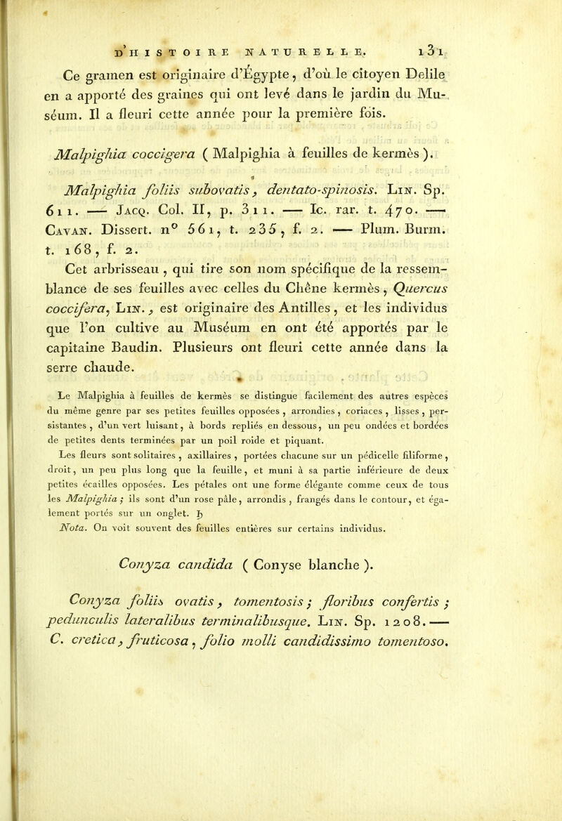 Ce gramen est originaire d’Égypte, d’où le citoyen Delile en a apporté des graines qui ont levé dans le jardin du Mu- séum. Il a fleuri cette année pour la première fois. Malpighia coccigei'a ( Malpigliia à feuilles de kermès ). <% Malpighia foliis subovatis ? dentato-spinosis. Lin. Sp. 6 ii. — Jacq. Col. II, p. 3 ii. le. rar. t. 47 °- ——1 Cavan. Dissert. n° 5 61, t. 2 35, f. 2. — Plum. Burin, t. 1 6 8 , f. 2. Cet arbrisseau , qui tire son nom spécifique de la ressem- blance de ses feuilles avec celles du Chêne kermès, Quercus coccifera, Lin. ^ est originaire des Antilles , et les individus que l’on cultive au Muséum en ont été apportés par le capitaine Baudin. Plusieurs ont fleuri cette année dans la serre chaude. * * .4 * Le Malpighia à feuilles de kermès se distingue facilement des autres espèces du même genre par ses petites feuilles opposées , arrondies, coriaces , lisses , per- sistantes , d’un vert luisant , à bords repliés en dessous, un peu ondées et bordées de petites dents terminées par un poil roide et piquant. Les fleurs sont solitaires , axillaires , portées chacune sur un pédicelle filiforme , droit, un peu plus long que la feuille, et muni à sa partie inférieure de deux petites écailles opposées. Les pétales ont une forme élégante comme ceux de tous les Malpighia ,• ils sont d’un rose pâle, arrondis , frangés dans le contour, et éga- lement portés sur un onglet. I> Nota. On voit souvent des feuilles entières sur certains individus. Conyza candida ( Conyse blanche ). Conyza foliis ovatis, tomentosis ; floribus confertis ; pedunculis lateralibus termmalibusque. Lin. Sp. 1208.— C. cretica fruticosa , jblio molli candidissimo tomentoso.