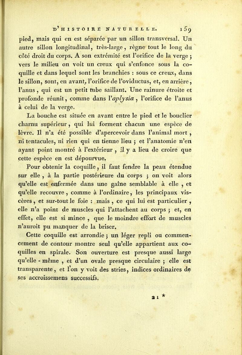 pied? mais qui en est séparée par un sillon transversal. Un autre sillon longitudinal, très-large, règne tout le long du côté droit du corps. A son extrémité est l’orifice de la verge j vers le milieu on voit un creux qui s’enfonce sous la co- quille et dans lequel sont les branchies : sous ce creux, dans le sillon, sont, en avant, l’orifice de l’oviductus, et, en arrière, l’anus , qui est un petit tube saillant. Une rainure étroite et profonde réunit, comme dans Vaplysia , l’orifice de l’anus à celui de la verge. La bouche est située en avant entre le pied et le bouclier charnu supérieur , qui lui forment chacun une espèce de lèvre. Il n’a été possible d’apercevoir dans l’animal mort , ni tentacules, ni rien qui en tienne lieu 5 et l’anatomie n’en ayant point montré à l’extérieur , il y a lieu de croire que cette espèce en est dépourvue. Pour obtenir la coquille, il faut fendre la peau étendue sur elle , à la partie postérieure du corps 5 on voit alors qu’elle est enfermée dans une gaine semblable à elle , et qu’elle recouvre , comme à l’ordinaire, les principaux vis- cères , et sur-tout le foie : mais , ce qui lui est particulier , elle n’a point de muscles qui l’attachent au corps j et, en effet, elle est si mince , que le moindre effort de muscles n’auroit pu manquer de la briser. Cette coquille est arrondie $ un léger repli ou commen- cement de contour montre seul qu’elle appartient aux co- quilles en spirale. Son ouverture est presque aussi large qu’elle - même , et d’un ovale presque circulaire 5 elle est transparente, et f on y voit des stries, indices ordinaires de ses accroissemens successifs.