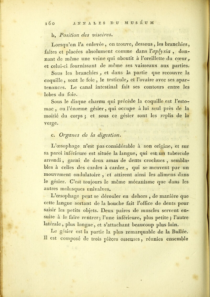 b. Position des viscères. Lorsqu’on l’a enlevée, on trouve, dessous, les branchies, faites et placées absolument comme dans Yaplysia , don- nant de meme une veine qui -aboutit à l’oreillette du cœur, et celui-ci fournissant de même ses vaisseaux aux parties. Sous les branchies ,, et dans la partie que recouvre la coquille, sont le foie , le testicule,, et l’ovaire avec ses apar- tenances. Le canal intestinal fait ses contours entre les lobes du foie. Sous le disque charnu qui précède la coquille est l’esto- mac , ou l’énorme gésier , qui occupe à lui seul près de la moitié du corps j et sous ce gésier sont les replis de la verge. c. Organes de la digestion. L’œsophage n’est pas considérable à son origine, et sur sa paroi inférieure est située la langue, qui est un tubercule arrondi, garni de deux amas de dents crochues , sembla- bles à celles des cardes à carder , qui se meuvent par un mouvement ondulatoire , et attirent ainsi les alimens dans le gésier. C’est toujours le même mécanisme que dans les autres molusques univalves. L’œsophage peut se dérouler en dehors , de manière que cette langue sortant de la bouche fait l’office de dents pour saisir les petits objets. Deux paires de muscles servent en- suite à le faire rentrer ; l’une inférieure, plus petite ; l’autre latérale, plus longue, et s’attachant beaucoup plus loin. Le gésier est la partie la plus remarquable de la Bullée. Il est composé de trois pièces osseuses, réunies ensemble