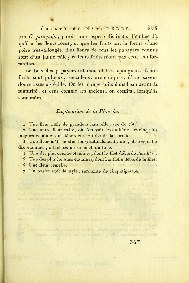 d’HISTOIRE NATURELLE. 2 7 5 son C. posopoja, paroît une espèce distincte. Feuillée dit qu’il a les fleurs roses, et que les fruits ont la forme d’une poire très-allongée. Les fleurs de tous les papayers connus sont d’un jaune pâle , et leurs fruits n’ont pas cette confor- mation. Le bois des papayers est mou et très-spongieux. Leurs fruits sont pulpeux , succulens , aromatiques, d’une saveur douce assez agréable. On les mange cuits dans l’eau avant la maturité, et crus comme les melons, ou confits, lorsqu’ils sont mûrs. Explication de la Planche. î. Une fleur mâle de grandeur naturelle, vue de côté. 2. Une autre fleur mâle, où l’on voit les anthères des cinq plus longues étamines qui débordent le tube de la corolle. 3. Une fleur mâle fendue longitudinalement ; on y distingue les dix étamines, attachées au sommet du tube. 4* Une des plus courtes étamines, dont le filet déborde l’antlière. 5. Une des plixs longues étamines, dont l’anthère déborde le filet. 6. Une fleur femelle. 7. Un ovaire avec le style, surmonté de cinq stigmates. 36*