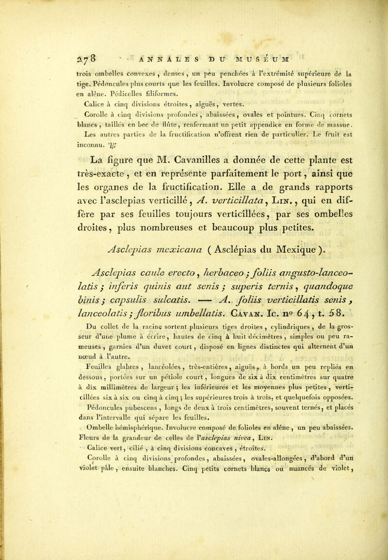 trois ombelles convexes , denses , un peu penchées à l’extrémité supérieure de la tige. Pédoncules plus courts que les feuilles. Involucre composé de plusieurs folioles en alêne. Pédicelles filiformes. Calice à cinq divisions étroites, aiguës, vertes. Corolle à cinq divisions profondes, abaissées, ovales et pointues. Cinq cornets blancs, taillés en bec de flûte, renfermant un petit appendice en forme de massue. Les antres parties de la fructification n’offrent rien de particulier. Le fruit est inconnu. La figure que M. Cavanilles a donnée de cette plante est très-exacte , et en représente parfaitement le port ? ainsi que les organes de la fructification. Elle a de grands rapports avec l’asclepias verticillé, A. verticillata, Lin. 7 qui en dif- fère par ses feuilles toujours verticillées, par ses ombelles droites, plus nombreuses et beaucoup plus petites. Asclepias mexicana ( Asclépias du Mexique ). Asclepias caule erecto, herbaceo ; foliis angusto-lanceo- lads ; inferis quinis aut senis ; superis ternis 7 quandoque binis j ccipsulis sulcatis. —— A. J'oliis verticillatis senis , lanceolatis; Jloribus umbellatis. Cavan. Ic. n° 64 7 t. 58. Du collet de la racine sortent plusieurs tiges droites , cylindriques , de la gros- seur d’une plume à écrire, hautes de cinq à huit décimètres , simples ou peu ra- meuses , garnies d’un duvet court, disposé en lignes distinctes qui alternent d’un nœud à l’autre. Feuilles glabres , lancéolées , très-entières, aiguës , à bords un peu repliés en dessous, portées sur un pétiole court, longues de six à dix centimètres sur quatre à dix millimètres de largeur ; les inférieures et les moyennes plus petites , verti- cillées six à six ou cinq à cinq; les supérieures trois à trois, et quelquefois opposées. Pédoncules pubescens , longs de deux à trois centimètres, souvent ternés, et placés dans l’intervalle qui sépare les feuilles. Ombelle hémisphérique. Involucre composé de folioles en alêne , un peu abaissées. Fleurs de la grandeur de celles de Vasclepias nivea, Ltn. Calice vert, cilié , à cinq divisions concaves , étroites. Corolle à cinq divisions profondes , abaissées, ovales-allongées , d’abord d’un violet pâle , ensuite blanches. Cinq petits cornets blançs ou nuancés de violet,