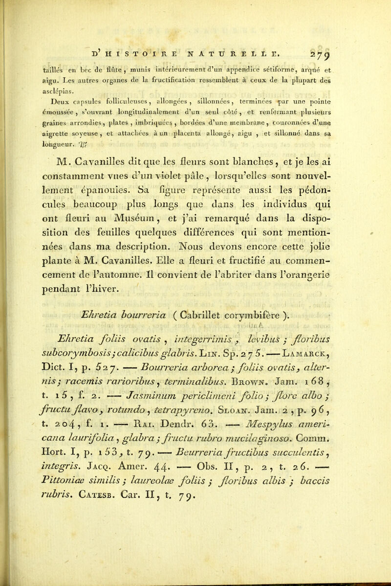 taillés en bec de flûte, munis intérieurement d’un appendice sétiforme, arqué et aigu. Les autres organes de la fructification ressemblent à ceux de la plupart des asclépias. Deux capsules folliculeuses, allongées, sillonnées, terminées par une pointe émoussée , s’ouvrant longitudinalement d’un seul côté , et renfermant plusieurs graines arrondies, plates , imbriquées, bordées d’une membrane, couronnées d’une aigrette soyeuse, et attachées à un placenta allongé, aigu , et sillonné dans sa longueur. 7/? M. C a vanilles dit que les fleurs sont blanclies , et je les ai constamment vues d’un violet pâle , lorsqu’elles sont nouvel- lement épanouies. Sa figure représente aussi les pédon- cules beaucoup plus longs que dans les individus qui ont fleuri au Muséum, et j’ai remarqué dans la dispo- sition des feuilles quelques différences qui sont mention- nées dans ma description. Nous devons encore cette jolie plante à M. Cavanilles. Elle a fleuri et fructifié au commen- cement de l’automne. Il convient de l’abriter dans l’orangerie pendant l’hiver. Ehretia boujTeria ( Cabrillet corymbifère ). IjaA Ehretia foliis ovatis , integerrimis levibus ; floribus subcorymbosis ^calicibus glabris. Lin. Sp. 2 7 5. — Lamarck, Dict. I, p. 527. —- BouiTeria cirborca ; foliis ovatis , aller- nis; racemis rarioribus, terminalibus. Brown» Jam. 168, t. 1 5 , f. 2. — Jasminum periclimeni folio ; flore albo ; fructu flavo, rotundo, tetrapyreno. Sloan. Jam. 2 , p. 96, t. 204 -, f. 1. —- Rai. Dendr. 63. —— Mespylus anieri- cana laurifolia , glabra ; fructu rubro mucilaginoso. Connu. Iiort. I, p. 1 53 t. 79. —— Beurreria fructïbus succulentis, integris. Jacq. Amer. 44* — Obs. II, p. 2 , t. 26. -—■ Pittoniae similis ; laureolae foliis / foribus albis $ baccis rubris. Catesb. Car. II, t. 79.