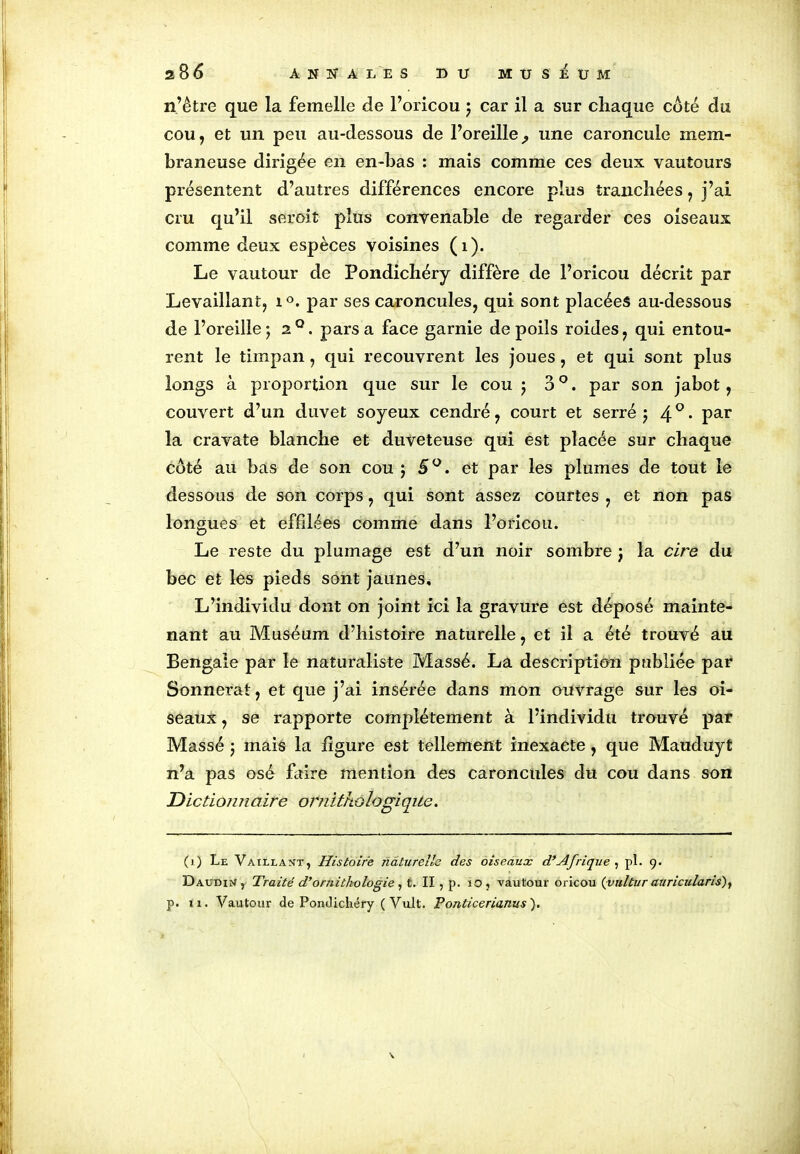 n’être que la femelle de Poricou $ car il a sur chaque côté du cou, et un peu au-dessous de l’oreille , une caroncule mem- braneuse dirigée en en-bas : mais comme ces deux vautours présentent d’autres différences encore plus tranchées, j’ai cru qu’il seroit plus convenable de regarder ces oiseaux comme deux espèces voisines (1). Le vautour de Pondichéry diffère de l’oricou décrit par Levaillant, i°. par ses caroncules, qui sont placées au-dessous de l’oreille ; 2 Q. pars a face garnie de poils roides, qui entou- rent le timpan, qui recouvrent les joues, et qui sont plus longs à proportion que sur le cou ; 30. par son jabot, couvert d’un duvet soyeux cendré, court et serré j 4°- Par la cravate blanche et duveteuse qui est placée sur chaque côté au bas de son cou 5 5°. et par les plumes de tout le dessous de son corps, qui sont assez courtes , et non pas longues et effilées comme dans l’oricou. Le reste du plumage est d’un noir sombre j la cire du bec et les pieds sont jaunes. L’individu dont on joint ici la gravure est déposé mainte- nant au Muséum d’histoire naturelle, et il a été trouvé au Bengale par le naturaliste Massé. La description publiée par Sonnerat, et que j’ai insérée dans mon ouvrage sur les oi- seaux , se rapporte complètement à l’individu trouvé par Massé 5 mais la figure est tellement inexacte, que Mauduyt n’a pas osé faire mention des caroncules du cou dans son Dictiojinaire ornithologique. (1) Le Vaillant, Histoire naturelle des oiseaux d’Afrique , pl. 9. Daudin, Traité d’ornithologie, t. Il , p. 10, vautour oricou (vultur auricularis)f p. 11. Vautour de Pondichéry (Vult. Ponticerianus). \