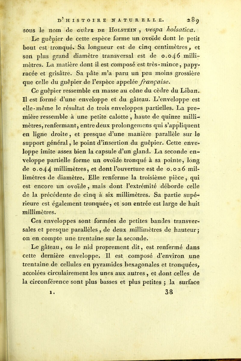 sons le nom de guepe de Holstein , vespa holsatica. Le guêpier de cette espèce forme un ovoïde dont le petit bout est tronqué. Sa longueur est de cinq centimètres, et son plus grand diamètre transversal est de 0.046 milli- mètres. La matière dont il est composé est très-mince, papy- racée et grisâtre. Sa pâte m’a paru un peu moins grossière que celle du guêpier de l’espèce appelée française. Ce guêpier ressemble en masse au cône du cèdre du Liban. Il est formé d’une enveloppe et du gâteau. L’enveloppe est elle-même le résultat de trois enveloppes partielles. La pre- mière ressemble à une petite calotte , haute de quinze milli- mètres^ renfermant, entre deux prolongemens qui s’appliquent en ligne droite , et presque d’une manière parallèle sur le support général, le point d’insertion du guêpier. Cette enve- loppe imite assez bien la capsule d’un gland. La seconde en- veloppe partielle forme un ovoïde tronqué à sa pointe, long de 0.044 millimètres, et dont l’ouverture est de 0.026 mil- limètres de diamètre. Elle renferme la troisième pièce, qui est encore un ovoïde, mais dont l’extrémité déborde celle de la précédente de cinq à six millimètres. Sa partie supé- rieure est également tronquée, et son entrée est large de huit millimètres. Ces enveloppes sont formées de petites bandes transver- sales et presque parallèles, de deux millimètres de hauteurj on en compte une trentaine sur la seconde. Le gâteau, ou le nid proprement dit, est renfermé dans cette dernière enveloppe. Il est composé d’environ une trentaine de cellules en pyramides hexagonales et tronquées, accolées circulairement les unes aux autres , et dont celles de la circonférence sont plus basses et plus petites 5 la surface 38 1.