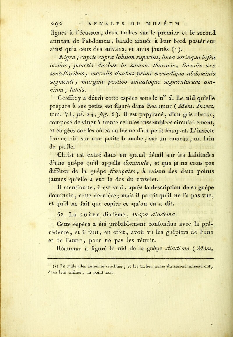 lignes à l’écusson , deux taches sur le premier et le second anneau de l’abdomen, bande sinuée à leur bord postérieur ainsi qu’à ceux des suivans, et anus jaunés (î). Jdigra ; capite supra labium superius, line a utrinque infra oculos , punctis duobus in summo thoracis lineolis seæ scutellaribus, maculis duabus primi secundique abdominis segmenti, margine postico sinuatoque segmentorum om- nium y luteis. Geoffroy a décrit cette espèce sous le n° 5. Le nid qu’elle prépare à ses petits est figuré dans Réaumur ( Mém. Insecte tom. VI, pl. i/{:1 Jlg. 6). Il est papyracé, d’un gris obscur, composé de vingt à trente cellules rassemblées circulairement, et étagées sur les côtés en forme d’un petit bouquet. L’insecte fixe ce nid sur une petite branche , sur un rameau, un brin de paille. Christ est entré dans un grand détail sur les habitudes d’une guêpe qu’il appelle dominule, et que je ne crois pas différer de la guêpe française, à raison des deux points jaunes qu’elle a sur le dos du corselet. Il mentionne, il est vrai, après la description de sa guêpe domimile, cette dernière j mais il paroît qu’il ne l’a pas vue, et qu’il ne fait que copier ce qu’on en a dit. 5°. La guêpe diadème, vespa diadema. Cette espèce a été probablement confondue avec la pré- cédente , et il faut, en effet, avoir vu les guêpiers de l’une et de l’autre pour ne pas les réunir. Réaumur a figuré le nid de la guêpe diadème ( Mém. (i) Le mâle aies antennes crochues } et les taches jaunes du second anneau ont} dans leur milieu } un point noir.