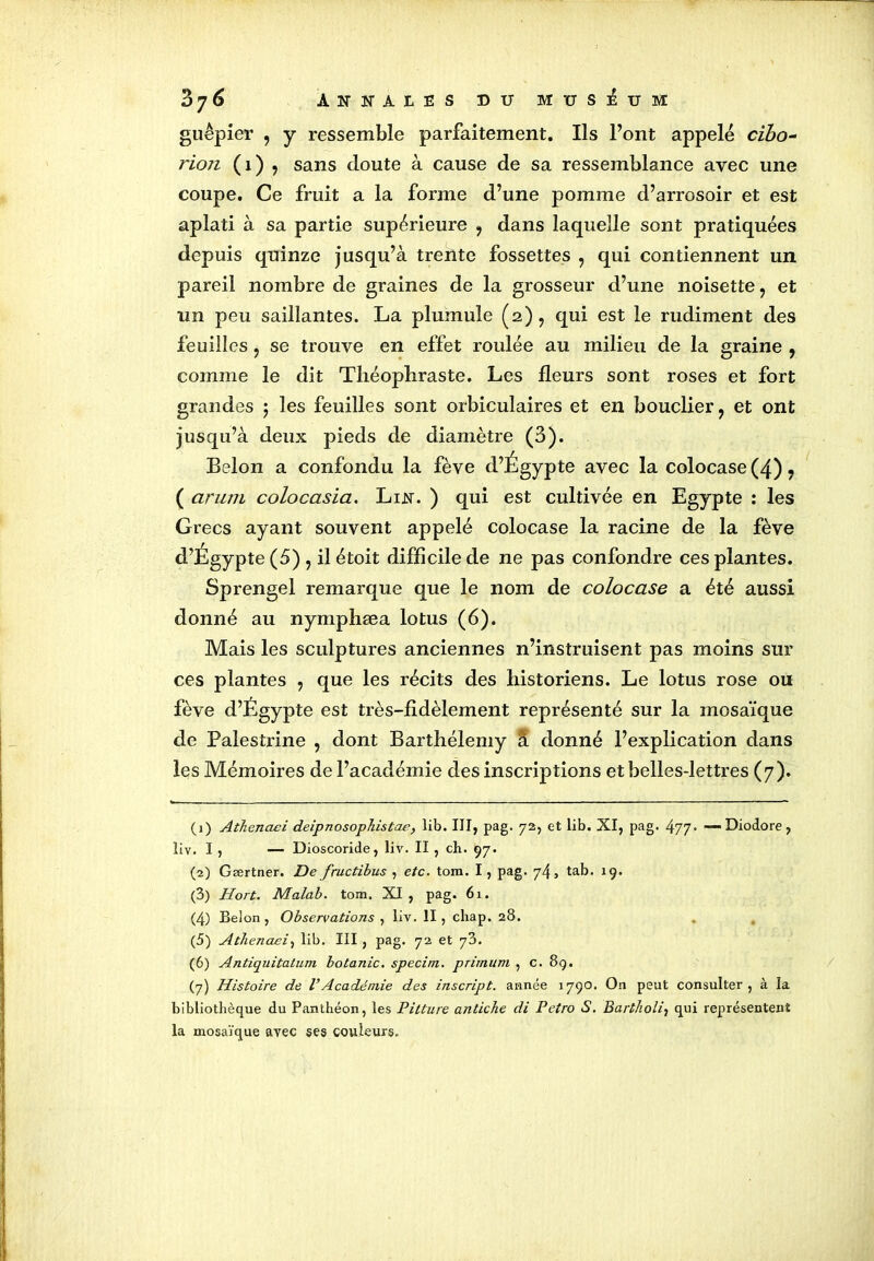 guêpier , y ressemble parfaitement. Ils l’ont appelé cibo- rioji (1) 7 sans doute à cause de sa ressemblance avec une coupe. Ce fruit a la forme d’une pomme d’arrosoir et est aplati à sa partie supérieure 9 dans laquelle sont pratiquées depuis quinze jusqu’à trente fossettes , qui contiennent un pareil nombre de graines de la grosseur d’une noisette, et un peu saillantes. La plumule (2), qui est le rudiment des feuilles ? se trouve en effet roulée au milieu de la graine , comme le dit Théophraste. Les fleurs sont roses et fort grandes 5 les feuilles sont orbiculaires et en bouclier, et ont jusqu’à deux pieds de diamètre (3). Belon a confondu la fève d’Égypte avec la colocase (4) 7 ( arum colocasia. Lin. ) qui est cultivée en Egypte : les Grecs ayant souvent appelé colocase la racine de la fève d’Egypte (5) , il étoit difficile de ne pas confondre ces plantes. Sprengel remarque que le nom de colocase a été aussi donné au nymphæa lotus (6). Mais les sculptures anciennes n’instruisent pas moins sur ces plantes , que les récits des historiens. Le lotus rose ou fève d’Égypte est très-fidèlement représenté sur la mosaïque de Palestrine , dont Barthélemy à donné l’explication dans les Mémoires de l’académie des inscriptions et belles-lettres (7). (1) Athenaci deipnosophistae, lib. III, pag. 72, et lib. XI, pag. 477- —*Diodore, liv. I , — Dioscoride, liv. II , ch. 97. (2) Gærtner. De fructibus , etc. tom. I, pag. 74, tab. 19. (3) Hort. Malab. tom. XI, pag. 61. (4) Belon, Observations , liv. II, chap. 28. (5) Athenaei, lib. III, pag. 72 et y?>. (6) Antiquitatum botanic. spécial, prirnum , c. 89. (7) Histoire de l’Académie des inscript, année 1790. On peut consulter, à la bibliothèque du Panthéon, les Pitture antiche di Petro S. Bart/ioli, qui représentent la mosaïque avec ses couleurs.