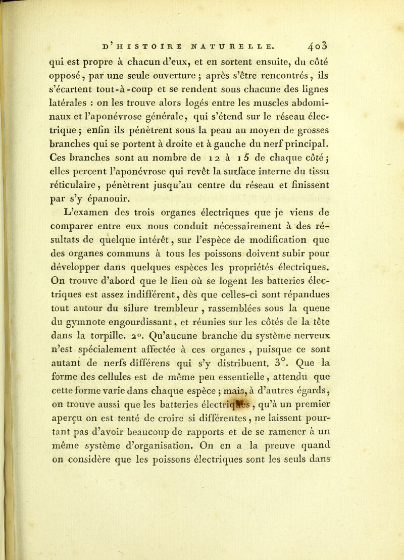 qui est propre à chacun d’eux, et en sortent ensuite, du côté opposé, par une seule ouverture ; après s’être rencontrés, ils s’écartent tout-à-coup et se rendent sous chacune des lignes latérales : on les trouve alors logés entre les muscles abdomi- naux et l’aponévrose générale, qui s’étend sur le réseau élec- trique j enfin ils pénètrent sous la peau au moyen de grosses branches qui se portent à droite et à gauche du nerf principal. Ces branches sont au nombre de 1 2 à 1 5 de chaque côté $ elles percent l’aponévrose qui revêt la surface interne du tissu réticulaire, pénètrent jusqu’au centre du réseau et finissent par s’y épanouir. L’examen des trois organes électriques que je viens de comparer entre eux nous conduit nécessairement à des ré- sultats de quelque intérêt, sur l’espèce de modification que des organes communs à tous les poissons doivent subir pour développer dans quelques espèces les propriétés électriques. On trouve d’abord que le lieu où se logent les batteries élec- triques est assez indifférent, dès que celles-ci sont répandues tout autour du silure trembleur , rassemblées sous la queue du gymnote engourdissant, et réunies sur les côtés de la tête dans la torpille. 20. Qu’aucune branche du système nerveux n’est spécialement affectée à ces organes , puisque ce sont autant de nerfs différens qui s’y distribuent. 3°. Que la forme des cellules est de même peu essentielle, attendu que cette forme varie dans chaque espèce ; mais, à d’autres égards, on trouve aussi que les batteries électriqlfès , qu’à un premier aperçu on est tenté de croire si différentes, ne laissent pour- tant pas d’avoir beaucoup de rapports et de se ramener à un même système d’organisation. O11 en a la preuve quand