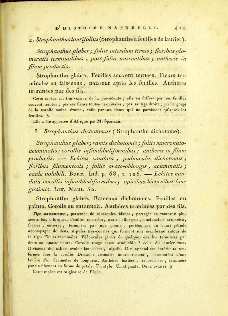 2. Strophanthus laurifolius (Stroplianthe à feuilles de laurier). Strophanthus glaher ; foliis interdum ternis $ floribus glo- meratis terminalibus ? postfolia nascentibus ; antheris in Jilum productis. Strophanthe glabre. Feuilles souvent ternées. Fleurs ter- minales en faisceau^ ? naissent après les feuilles. Anthères terminées par des fils. Cette espèce est très-voisine de la précédente ; elle en diffère par ses feuilles souvent ternées , par ses fleurs toutes terminales , par sa tige droite, par la gorge de la corolle moins évasée , enfin par ses fleurs qui ne paraissent qu’après les feuilles, h Elle a été apportée d’Afrique par M. Sparman. o. Strophanthus dichotomus ( Stroplianthe dichotome). Strophanthus glaber; ramis dichotomis j foliis mucronato- acuminatis; corollis infundibuliformibus ; antheris in Jilum productis. —- Echites caudata ? pedunculis dichotomis ; foribus Jilamentosis ; foliis ovato-oblongis > acuminatis ; caule volubili. Burm. Ind. p. 68, t. 126. •— Echites cau- data corollis infundibuliformibus ; apicibus bicornibus Ion- gissimis. Lin. Mant. 52. Strophanthe glabre. Rameaux dichotomes. Feuilles en pointe. Corolle en entonnoir. Anthères terminées par des fils. Tige sarmenteuse, parsemée de tubercules blancs , partagée en rameaux plu- sieurs fois bifurqués. Feuilles opposées , ovale - allongées , quelquefois arrondies , fermes , entières , terminées par une pointe , portées sur un court pétiole accompagné de deux stipules très-courtes qui forment une membrane autour de la tige. Fleurs terminales. Pédoncules garnis de quelques écailles terminées par deux ou quatre fleurs. Corolle rouge assez semblable à celle du laurier rose. Divisions du calice ovale - lancéolées , aiguës. Dix appendices intérieurs ren- fermés dans la corolle. Divisions arrondies inférieurement , surmontées d’une lanière d’un décimètre de longueur. Anthères hastées , rapprochées , terminées par un filament en forme de pétale. Un style. Un stigmate. Deux ovaires, Ij Cette espèce est originaire de l’Inde.