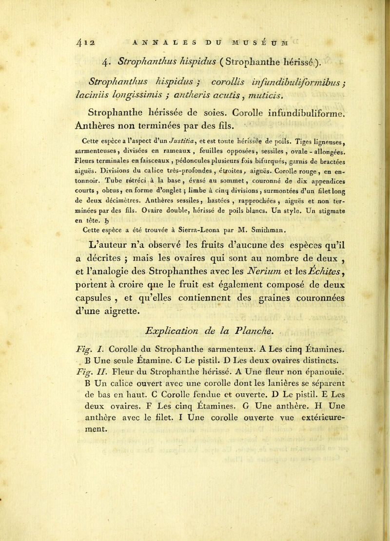 4- Strophanthus hispidus ( Strophanthe hérissé ). Strophanthus hispidus ; corollis infundïbuliformibus ; iaciniis longissimis ; antheris acutis , muticis. Strophanthe hérissée de soies. Corolle infundibuliforme. Anthères non terminées par des fils. Cette espèce a l’aspect d’un Justifia, et est toute hérissée de poils. Tiges ligneuses, sarmenteuses , divisées en rameaux , feuilles opposées, sessiles , ovale - allongées. Fleurs terminales en faisceaux , pédoncules plusieurs fois bifurques, garnis de bractées aiguës. Divisions du calice très-profondes, étroites, aiguës. Corolle rouge, en en- tonnoir. Tube rétréci à la base , évasé au sommet, couronné de dix appendices courts , obtus, en forme d’onglet ; limbe à cinq divisions , surmontées d’un filet long de deux décimètres. Anthères sessiles, hastées , rapprochées , aiguës et non ter- minées par des fils. Ovaire double, hérissé de poils blancs. Un style. Un stigmate en tête. î) Cette espèce a été trouvée à Sierra-Leona par M. Smithman. L’auteur n’a observé les fruits d’aucune des espèces qu’il a décrites j mais les ovaires qui sont au nombre de deux , et l’analogie des Strophanthes avec les Nerium et les Echites, portent à croire que le fruit est également composé de deux capsules , et qu’elles contiennent des graines couronnées d’une aigrette. Explication de la Planche. Fig. I. Corolle du Strophanthe sannenteux. A Les cinq Etamines. B Une seule Etamine. C Le pistil. D Les deux ovaires distincts. Fig. II. Fleur du Strophanthe hérissé. A Une fleur non épanouie. B Un calice ouvert avec une corolle dont les lanières se séparent de bas en haut. C Corolle fendue et ouverte. D Le pistil. E Les deux ovaires. F Les cinq Étamines. G Une anthère. H Une anthère avec le filet. I Une corolle ouverte vue extérieure- ment.