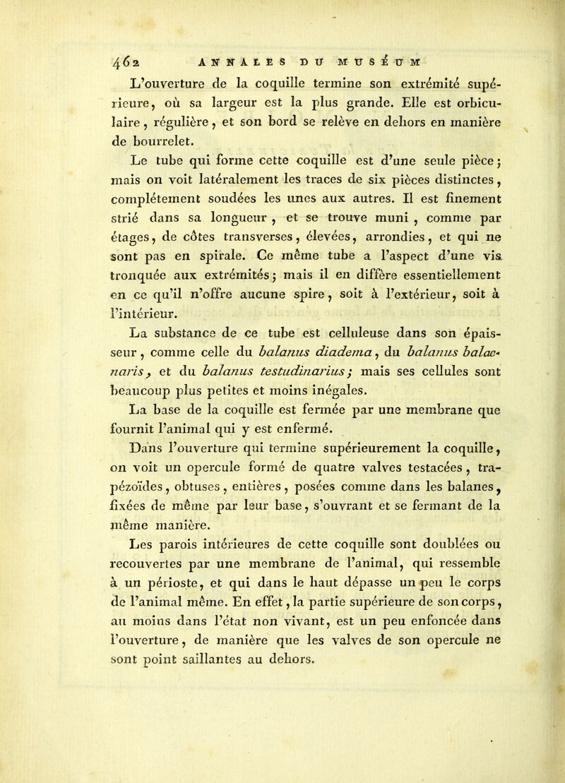 L’ouverture de la coquille termine son extrémité supé- rieure, où sa largeur est la plus grande. Elle est orbicu- ïaire, régulière, et son bord se relève en dehors en manière de bourrelet. Le tube qui forme cette coquille est d’une seule pièce ; mais on voit latéralement les traces de six pièces distinctes, complètement soudées les unes aux autres. Il est finement strié dans sa longueur , et se trouve muni , comme par étages, de côtes transverses, élevées, arrondies, et qui ne sont pas en spirale. Ce même tube a l’aspect d’une vis, tronquée aux extrémités j mais il en diffère essentiellement en ce qu’il n’offre aucune spire, soit à l’extérieur, soit à l’intérieur. La substance de ce tube est celluleuse dans son épais- seur , comme celle du balanus diadema, du balanus balac* nciris, et du balanus testudinarius; mais ses cellules sont beaucoup plus petites et moins inégales. La base de la coquille est fermée par une membrane que fournit l’animal qui y est enfermé. Dans l’ouverture qui termine supérieurement la coquille, on voit un opercule formé de quatre valves testacées , tra- pézoïdes , obtuses , entières , posées comme dans les balanes ? fixées de même par leur base, s’ouvrant et se fermant de la même manière. Les parois intérieures de cette coquille sont doublées ou recouvertes par une membrane de l’animal, qui ressemble à un périoste, et qui dans le haut dépasse un peu le corps de l’animal même. En effet, la partie supérieure de son corps, au moins dans l’état non vivant, est un peu enfoncée dans l’ouverture, de manière que les valves de son opercule ne sont point saillantes au dehors.