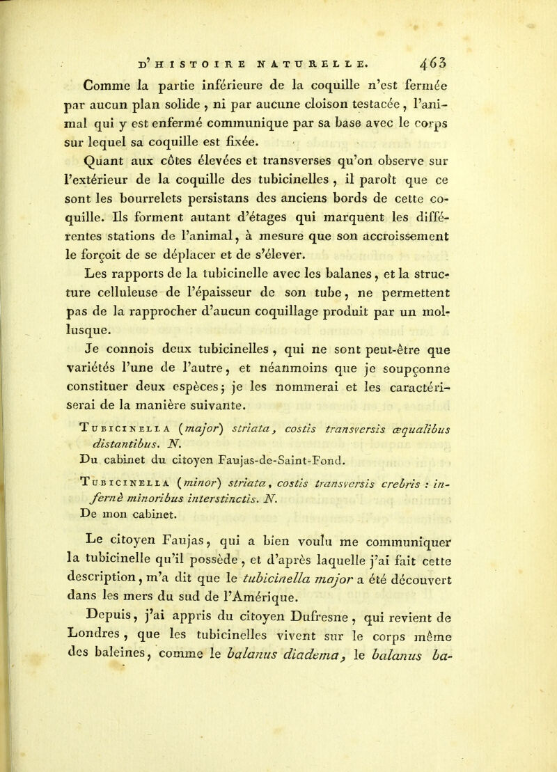 Comme la partie inférieure de la coquille n’est fermée par aucun plan solide , ni par aucune cloison testacée , l’ani- mal qui y est enfermé communique par sa base avec le corps sur lequel sa coquille est fixée. Quant aux côtes élevées et transverses qu’on observe sur l’extérieur de la coquille des tubicinelles , il paroît que ce sont les bourrelets persistans des anciens bords de cette co- quille. Ils forment autant d’étages qui marquent les diffé- rentes stations de l’animal, à mesure que son accroissement le forçoit de se déplacer et de s’élever. Les rapports de la tubicinelle avec les balanes, et la struc- ture celluleuse de l’épaisseur de son tube, ne permettent pas de la rapprocher d’aucun coquillage produit par un mol- lusque. Je connois deux tubicinelles , qui ne sont peut-être que variétés l’une de l’autre, et néanmoins que je soupçonne constituer deux espèces j je les nommerai et les caractéri- serai de la manière suivante. Tubicineua (major) striata, costis transversis œqualibus distantibus. N. Du cabinet du citoyen Faujas-de-Saint-Fond. Tubicineua ( min or) striata., costis transversis crebris : in- fernè minoribus interstinctis. N. De mon cabinet. Le citoyen Faujas, qui a bien voulu me communiquer la tubicinelle qu’il possède , et d’après laquelle j’ai fait cette description, m’a dit que le tubiciinellcL major a été découvert dans les mers du sud de l’Amérique. Depuis, j’ai appris du citoyen Dufresne , qui revient de Londres , que les tubicinelles vivent sur le corps même des baleines, comme le balctnus diadcma? le balanus ba-