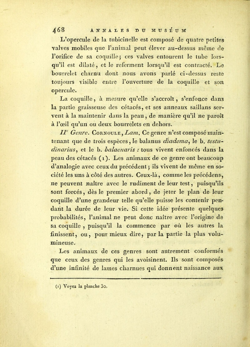 L’opercule de la tubicinelle est composé de quatre petites valves mobiles que l’animal peut élever au-dessus même de l’orifice de sa coquille j ces valves entourent le tube lors- qu’il est dilaté , et le referment lorsqu’il est contracté. Le bourrelet charnu dont nous avons parlé ci-dessus reste toujours visible entre l’ouverture de la coquille et son opercule. La coquille , à mesure qu’elle s’accroît , s’enfonce dans la partie graisseuse des cétacés, et ses anneaux saillans ser- vent à la maintenir dans la peau, de manière qu’il ne paroît à l’œil qu’un ou deux bourrelets en dehors. IIe Genre. Cornoule , Lam. Ce genre n’est composé main- tenant que de trois espèces, le balanus diadema, le b. testu- dinarius, et le b. balaejmris : tous vivent enfoncés dans la peau des cétacés (1). Les animaux de ce genre ont beaucoup d’analogie avec ceux du précédent ; ils vivent de même en so- ciété les uns à coté des autres. Ceux-là, comme les précédons, ne peuvent naître avec le rudiment de leur test, puisqu’ils sont forcés, dès le premier abord, de jeter le plan de leur coquille d’une grandeur telle qu’elle puisse les contenir pen- dant la durée de leur vie. Si cette idée présente quelques probabilités, l’animal ne peut donc naître avec l’origine de sa coquille , puisqu’il la commence par où les autres la finissent, ou, pour mieux dire, parla partie la plus volu- mineuse. Les animaux de ces genres sont autrement conformés que ceux des genres qui les avoisinent. Ils sont composés d’une infinité de lames charnues qui donnent naissance aux (i) Voyez la planche 3o,