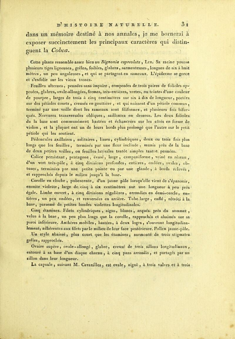 dans un mémoire destiné à nos annales, je me bornerai à exposer succinctement les principaux caractères qui distin- guent la Cobea. Cette plante ressemble assez bien au Bignonia capreolata , Lin. Sa racine pousse plusieurs tiges ligneuses , grêles, foibles, glabres, sarmenteuses , longues de six à liuit mètres, un peu anguleuses , et qui se partagent en rameaux. L’épiderme se gerce et s’exfolie sur les vieux troncs. Feuilles alternes, pennées sans impaire , composées de trois paires de folioles op- posées, glabres, ovale-allongées, fermes, très-entières, vertes, ou teintes d’une couleur de pourpre, larges de trois à cinq centimètres sur six à dix de longueur, portées sur des pétioles courts , creusés en gouttière , et qui naissent d’un pétiole commun , terminé par une vrille dont les rameaux sont filiformes , et plusieurs fois bifur- qués. Nervures transversales obliques , saillantes en dessous. Les deux folioles de la base sont communément liastées et échancrées sur les côtés en forme de violon , et la plupart ont un de leurs bords plus prolongé que l’autre sur le petit pétiole qui les soutient. Pédoncules axillaires , solitaires , lisses, cylindriques , deux ou trois fois plus longs que les feuilles, terminés par une fleur inclinée, munis près de la base de deux petites vrilles , ou feuilles latérales tantôt simples tantôt pennées. Calice persistant, pentagone, évasé, large, cainpaniforme , veiné en réseau, d’un vert très-pâle , à cinq divisions profondes, entières , ondées, ovales , ob- tuses , terminées par une petite pointe ou par une glande , à bords relevés , et rapprochés depuis le milieu jusqu’à la base. Corolle en cloche , pubescente, d’un jaune pâle lorsqu’elle vient de s’épanouir, ensuite violette, large de cinq à six centimètres sur une longueur à peu près égale. Limbe ouvert, à cinq divisions régulières, arrondies en demi-cercle, en- tières, un peu ondées, et renversées en arrière. Tube large , enflé, rétréci à la base, parsemé de petites bandes violettes longitudinales. Cinq étamines. Filets cylindriques, aigus, blancs, arqués près du sommet, velus à la base, un peu plus longs que la corolle, rapprochés et abaissés sur sa paroi inférieure. Anthères mobiles, liastées, à deux loges, s’ouvrant longitudina- lement, adhérentes aux filets par le milieu de leur face postérieure. Pollen jaune-pâle. Un style abaissé, plus court que les étamines, surmonté de trois stigmates grêles, rapprochés. Ovaire supère, ovale - allongé , glabre, creusé de trois sillons longitudinaux, entouré à sa base d’un disque charnu , à cinq pans arrondis , et partagés par un sillon dans leur longueur. La capsule j suivant M. Cavanilles, est ovale, aiguë, à trois valves et à trois