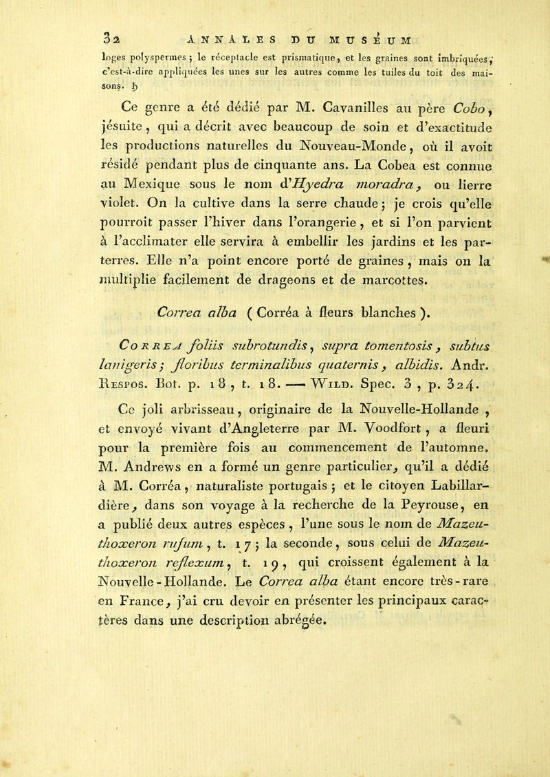 loges polyspermes ; le réceptacle est prismatique, et les graines sont imbriquées, c’est-à-dire appliquées les unes sur les autres comme les tuiles du toit des mai- sons. Ce genre a été dédié par M. Cavanilles au père Cobo, jésuite , qui a décrit avec beaucoup de soin et d’exactitude les productions naturelles du Nouveau-Monde, où il avoit résidé pendant plus de cinquante ans. La Cobea est connue au Mexique sous le nom àlHyedra moradra , ou lierre violet. On la cultive dans la serre chaude $ je crois qu’elle pourroit passer l’hiver dans l’orangerie , et si l’on parvient à l’acclimater elle servira â embellir les jardins et les par- terres. Elle n’a point encore porté de graines , mais on la multiplie facilement de drageons et de marcottes. Correct alba ( Corréa à fleurs blanches ). Cor re a foliis subrotundis, supra tomentosis , subtils lanïgeris ; Jloribus terminalibus quaternis, albidis. Andr. Kespos. Bot. p. 1 8 , t. î 8. —— Wild. Spec. 3 , p. 324* Ce joli arbrisseau, originaire de la Nouvelle-Hollande , et envoyé vivant d’Angleterre par M. Voodfort , a fleuri pour la première fois au commencement de l’automne, M. Andrews en a formé un genre particulier, qu’il a dédié à M. Corréa, naturaliste portugais j et le citoyen Labillar- dière, dans son voyage à la recherche de la Peyrouse, en a publié deux autres espèces , l’une sous le nom de Mazeu- thoxeron rufum , t. î 7 j la seconde, sous celui de Mazeu- thoxeron rejlexum, t. 1 9 , qui croissent également à la Nouvelle - Hollande. Le Corréa alba étant encore très-rare en France, j’ai cru devoir en présenter les principaux carac~ itères dans une description abrégée.