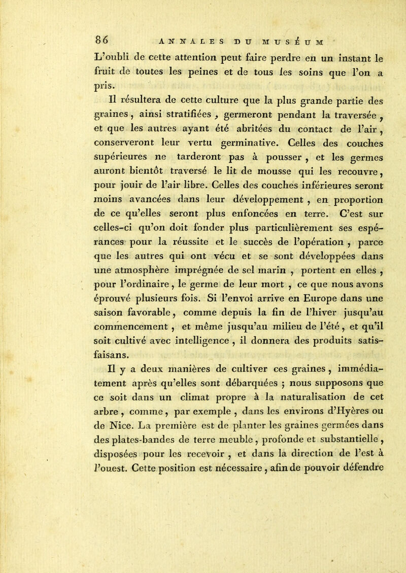 L’oubli de cette attention peut faire perdre en un instant le fruit de toutes les peines et de tous les soins que l’on a pris. Il résultera de cette culture que la plus grande partie des graines , ainsi stratifiées , germeront pendant la traversée ? et que les autres ayant été abritées du contact de l’air , conserveront leur vertu germinative. Celles des couches supérieures ne tarderont pas à pousser , et les germes auront bientôt traversé le lit de mousse qui les recouvre, pour jouir de l’air libre. Celles des couches inférieures seront moins avancées dans leur développement , en proportion de ce qu’elles seront plus enfoncées en terre. C’est sur celles-ci qu’on doit fonder plus particulièrement ses espé- rances pour la réussite et le succès de l’opération , parce que les autres qui ont vécu et se sont développées dans une atmosphère imprégnée de sel marin , portent en elles , pour l’ordinaire, le germe de leur mort , ce que nous avons éprouvé plusieurs fois. Si l’envoi arrive en Europe dans une saison favorable, comme depuis la fin de l’hiver jusqu’au commencement , et même jusqu’au milieu de l’été, et qu’il soit cultivé avec intelligence , il donnera des produits satis- faisans. Il y a deux manières de cultiver ces graines , immédia- tement après qu’elles sont débarquées ; nous supposons que ce soit dans un climat propre à la naturalisation de cet arbre , comme, par exemple , dans les environs d’Hyères ou de Nice. La première est de planter les graines germées dans des plates-bandes de terre meuble , profonde et substantielle , disposées pour les recevoir , et dans la direction de l’est à l’ouest. Cette position est nécessaire , afin de pouvoir défendre