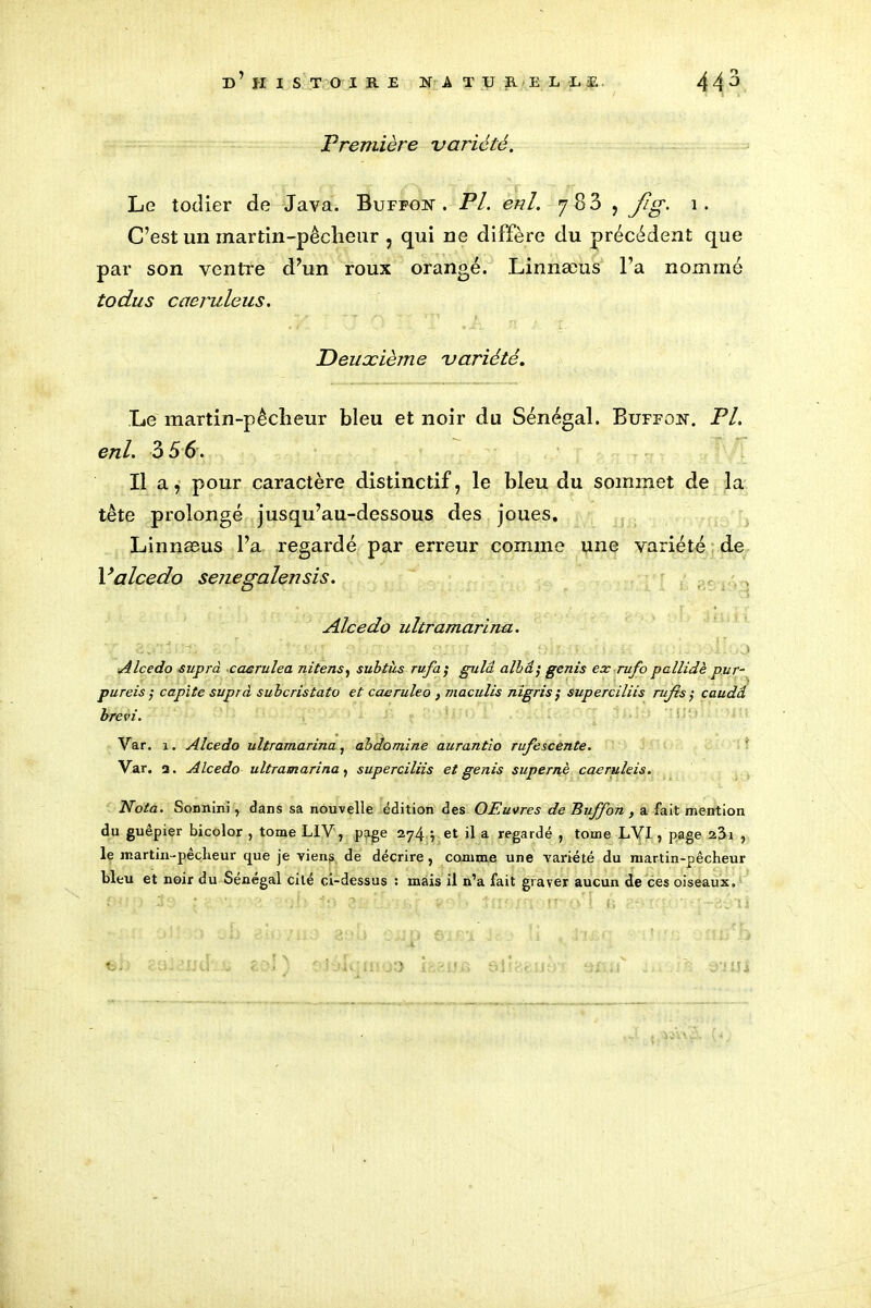 Première variété. Le todier de Java. Buffon . Pl. enl. 7 83 , Jig. 1. C’est un martin-pêcheur , qui ne diffère du précédent que par son ventre d’un roux orangé. Linnæus l’a nommé todus caeruleus. Deuxième variété. Le martin-pêcheur bleu et noir du Sénégal. Buffon. PL enl. 356. Il a, pour caractère distinctif, le bleu du sommet de la tête prolongé jusqu’au-dessous des joues. Linnæus l’a regardé par erreur comme une variété de Valcedo senegalensis. , Aieedo ultramarina. Alcedo supra caerulea nitens, subtùs ru.fa ; gulâ albâj genis ex rufo pallidè pur- purcis ; capite suprà suberistato et caeruleo , maculis nigris ; superciliis rufis ; caudd brevi. Var. 1. Alcedo ultramarina, abdomine aurantio rufescente. Var. a. Alcedo ultramarina, superciliis et genis supernè caeruleis. Nota. Sonnini, dans sa nouvelle édition des OE,u\>res de Tiuffon , a fait mention du guêpier bicolor , tome LIV, p^ige 274 ; et il a regardé , tome LYI , page a3i , le martin-pêcheur que je viens de décrire, comme une variété du martin-pêcheur bleu et noir du Sénégal cité ci-dessus : mais il n’a fait graver aucun de ces oiseaux.