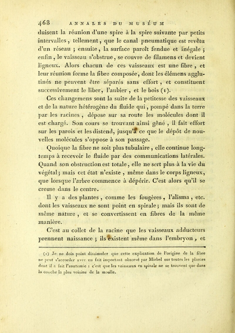 (luisent la réunion d’une spire à la spire suivante par petits intervalles , tellement , que le canal pneumatique est revêtu d’un réseau ; ensuite , la surface paroît fendue et inégale 5 enfin , le vaisseau s’obstrue, se couvre de filamens et devient ligneux. Alors chacun de ces vaisseaux est une fibre , et leur réunion forme la fibre composée, dont les élémens agglu- tinés ne peuvent être séparés sans effort , et constituent successivement le liber, l’aubier , et le bois (1). Ces cliangemens sont la suite de la petitesse des vaisseaux et de la nature hétérogène du fluide qui, pompé dans la terre par les racines , dépose sur sa route les molécules dont il est chargé. Son cours se trouvant ainsi gêné , il fait effort sur les parois et les distend, jusqu’à ce que le dépôt de nou- velles molécules s’oppose à son passage. Quoique la fibre 11e soit plus tubulaire , elle continue long- temps à recevoir le fluide par des communications latérales. Quand son obstruction est totale , elle ne sert plus à la vie du végétal ; mais cet état n’existe , même dans le corps ligneux, que lorsque l’arbre commence à dépérir. C’est alors qu’il se creuse dans le centre. Il y a des plantes , comme les fougères , l’alisina , etc. dont les vaisseaux ne sont point en spirale ; mais ils sont de même nature , et se convertissent en fibres de la même manière. C’est au collet de la racine que les vaisseaux adducteurs prennent naissance 5 ils existent même dans l’embryon , et (i) Je ne dois point dissimuler que cette explication de l’origine de la fibre 11e peut s’accorder avec un fait important observé par Mirbel sur toutes les plantes dont il a fait l’anatomie : c’est que les vaisseaux en spirale ne se trouvent que dans la couche la plus voisine de la moelle.