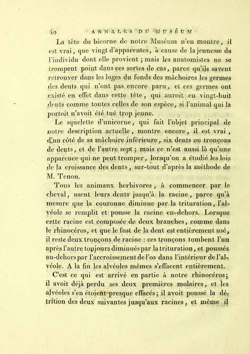 La tête du bicorne de notre Muséum n’en montre, il est vrai, que vingt d’apparentes, à cause de la jeunesse de l’individu dont elle provient ; mais les anatomistes ne se trompent point dans ces sortes de cas, parce qu’ils savent retrouver dans les loges du fonds des mâchoires les germes des dents qui n’ont pas encore paru, et ces germes ont existé en effet dans cette tête, qui auroit eu vingt-huijt dents comme toutes celles de son espèce, si l’animal qui la portoit n’avoit été tué trop jeune. Le squelette d’unicorne, qui fait l’objet principal de notre description actuelle, montre encore, il est vrai , cf’un côté de sa mâchoire inférieure, six dents ou tronçons de deqts, et de l’autre sept ; mais ce n’est aussi là qu’une apparence qui ne peut tromper, lorsqu’on a étudié les lois de la croissance des dents, sur-tout d’après la méthode de M. Tenon. Tous les animaux herbivores , à commencer par le cheval, usent leurs dents jusqu’à la racine, parce qu’à mesure que la couronne diminue par la trituration, l’ai- véole se remplit et pousse Ja racine en-dehors. Lorsque cette racine est composée de deux branches, comme dans le rhinocéros, et que le fust de la dent est entièrement usé, jl reste deux tronçons de racine : ces tronçons tombent l’un après l’autre toujours diminués par la trituration, et poussés au-dehors par l’accroissement de l’os dans l’intérieur de l’al- véole. A la fin les alvéoles mêmes s’effacent entièrement. C’est ce qui est arrivé en partie à notre rhinocéros ; il avoit déjà perdu ses deux premières molaires, et les ajvéoles s’en étoient presque effacés ; il avoit poussé la dé? trition des deux suivantes jusqu’aux racines, et même il