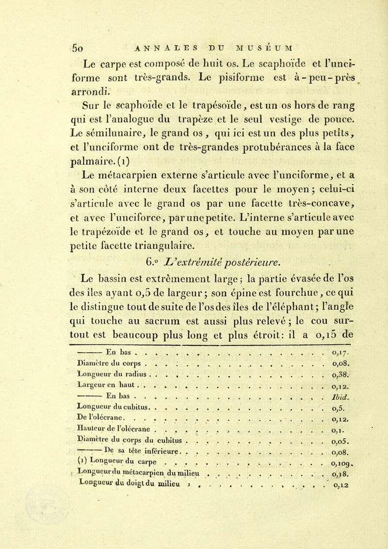 Le carpe est composé de huit os. Le scaphoïde et Funci- forme sont très-grands. Le pisiforme est à-peu-près arrondi. Sur le scaphoïde et le trapésoïde, est un os hors de rang qui est l’analogue du trapèze et le seul vestige de pouce. Le sémilunaire, le grand os , qui ici est un des plus petits, et l’unciforme ont de très-grandes protubérances à la face palmaire. (1) Le métacarpien externe s’articule avec Funciforme, et a à son côté interne deux facettes pour le moyen ; celui-ci s’articule avec le grand os par une facette très-concave, et avec Funciforce, par une petite. L’interne s’articule avec le trapézoïde et le grand os, et touche au moyen par une petite facette triangulaire. 6.° L’extrémité postérieure. Le bassin est extrêmement large ; la partie évasée de l’os des îles ayant o,5 de largeur ; son épine est fourchue, ce qui le distingue tout de suite de l’os des îles de l’éléphant; l’angle qui touche au sacrum est aussi plus relevé ; le cou sur- tout est beaucoup plus long et plus étroit: il a o,i5 de En bas 0,17. Diamètre du corps 0,08. Longueur du radius 0,38. Largeur en haut 0,12. ' En bas Ibid,. Longueur du cubitus o,5. De l’olécrane. 0,12. Hauteur de l’olécrane 0,1. Diamètre du corps du cubitus o,o5. ' He sa tête inférieure 0,08. (1) Longueur du carpe 0,109. Longueur du métacarpien du milieu 0,18. Longueur du doigt du milieu % . . . 0,12