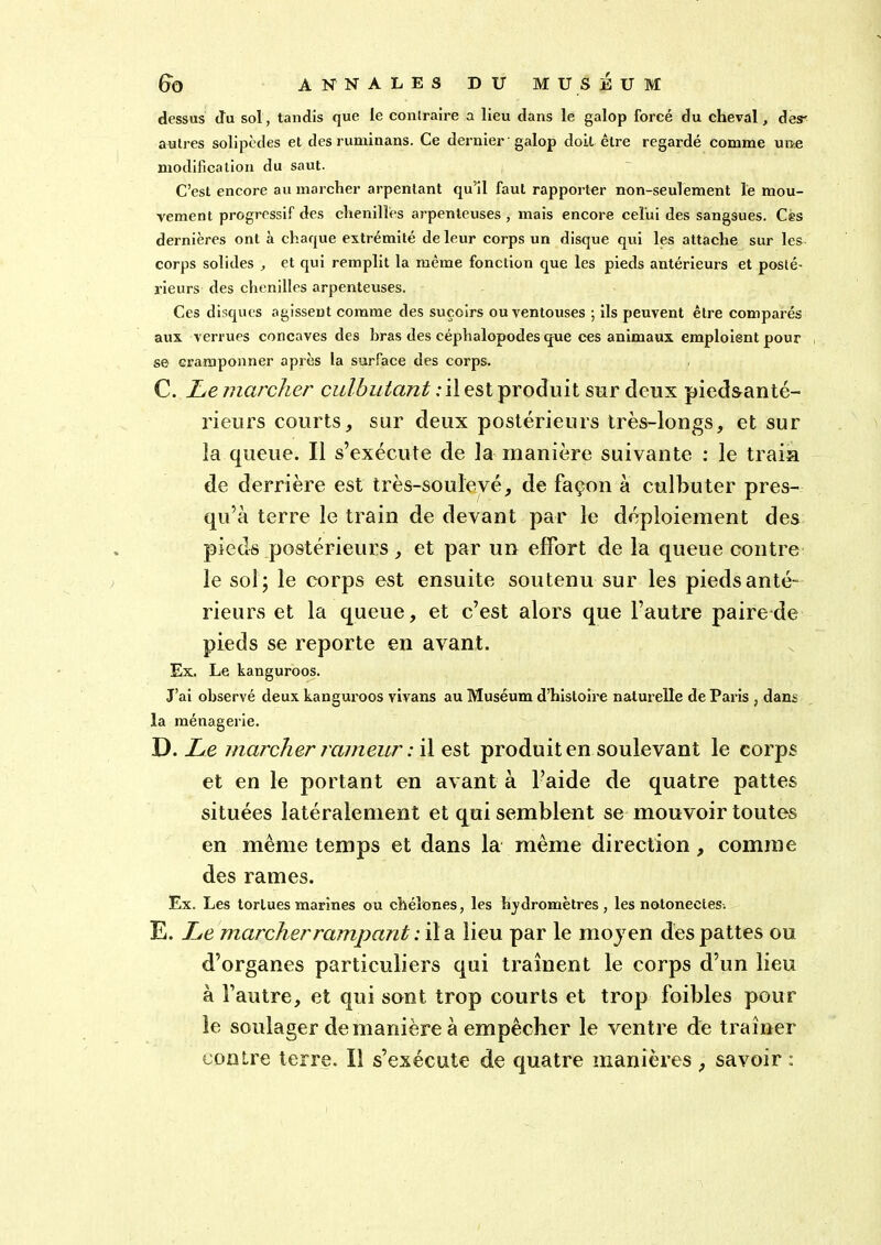 dessus du sol, tandis que le contraire a lieu dans le galop forcé du cheval, des- autres solipèdes et des ruminans. Ce dernier galop doit être regardé comme une modification du saut. C’est encore au marcher arpentant qu’il faut rapporter non-seulement le mou- vement progressif des chenilles arpenteuses , mais encore celui des sangsues. Cès dernières ont à chaque extrémité de leur corps un disque qui les attache sur les corps solides , et qui remplit la même fonction que les pieds antérieurs et posté- rieurs des chenilles arpenteuses. Ces disques agissent comme des suçoirs ou ventouses ; ils peuvent être comparés aux verrues concaves des bras des céphalopodes que ces animaux emploient pour se cramponner après la surface des corps. C. Le marcher culbutant ;il est produit sur deux piedaanté- rieurs courts, sur deux postérieurs très-longs, et sur la queue. Il s’exécute de la manière suivante : le train de derrière est très-soulevé, de façon à culbuter pres- qu’à terre le train de devant par le déploiement des pieds postérieurs, et par un effort de la queue contre le sol; le corps est ensuite soutenu sur les pieds anté- rieurs et la queue, et c’est alors que l’autre paire de pieds se reporte en avant. Ex. Le kanguroos. J’ai observé deux kanguroos vivans au Muséum d’histoire naturelle de Paris , dans la ménagerie. D. Le marcher rameur : il est produit en soulevant le corps et en le portant en avant à l’aide de quatre pattes situées latéralement et qui semblent se mouvoir toutes en même temps et dans la même direction, comme des rames. Ex. Les tortues marines ou chélones, les hydromètres , les notonectes. E. L*e marcher rampant : il a lieu par le moyen des pattes ou d’organes particuliers qui traînent le corps d’un lieu à l’autre, et qui sont trop courts et trop foibles pour le soulager de manière à empêcher le ventre de traîner contre terre. Il s’exécute de quatre manières , savoir :